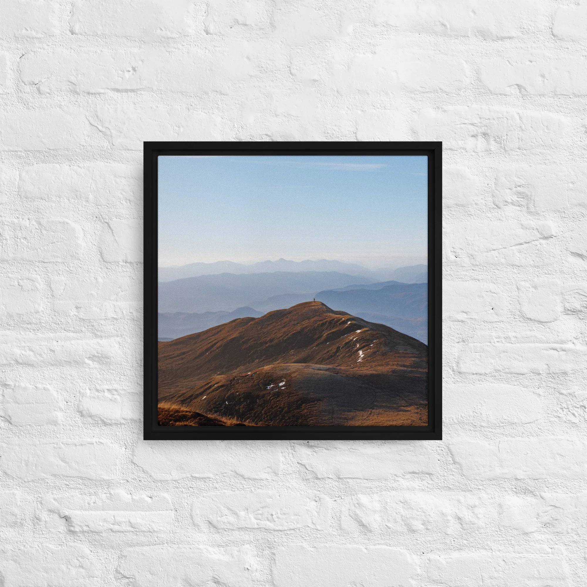 framed-canvas-(in)-black-16x16-front-68a8b7b612bab.jpg