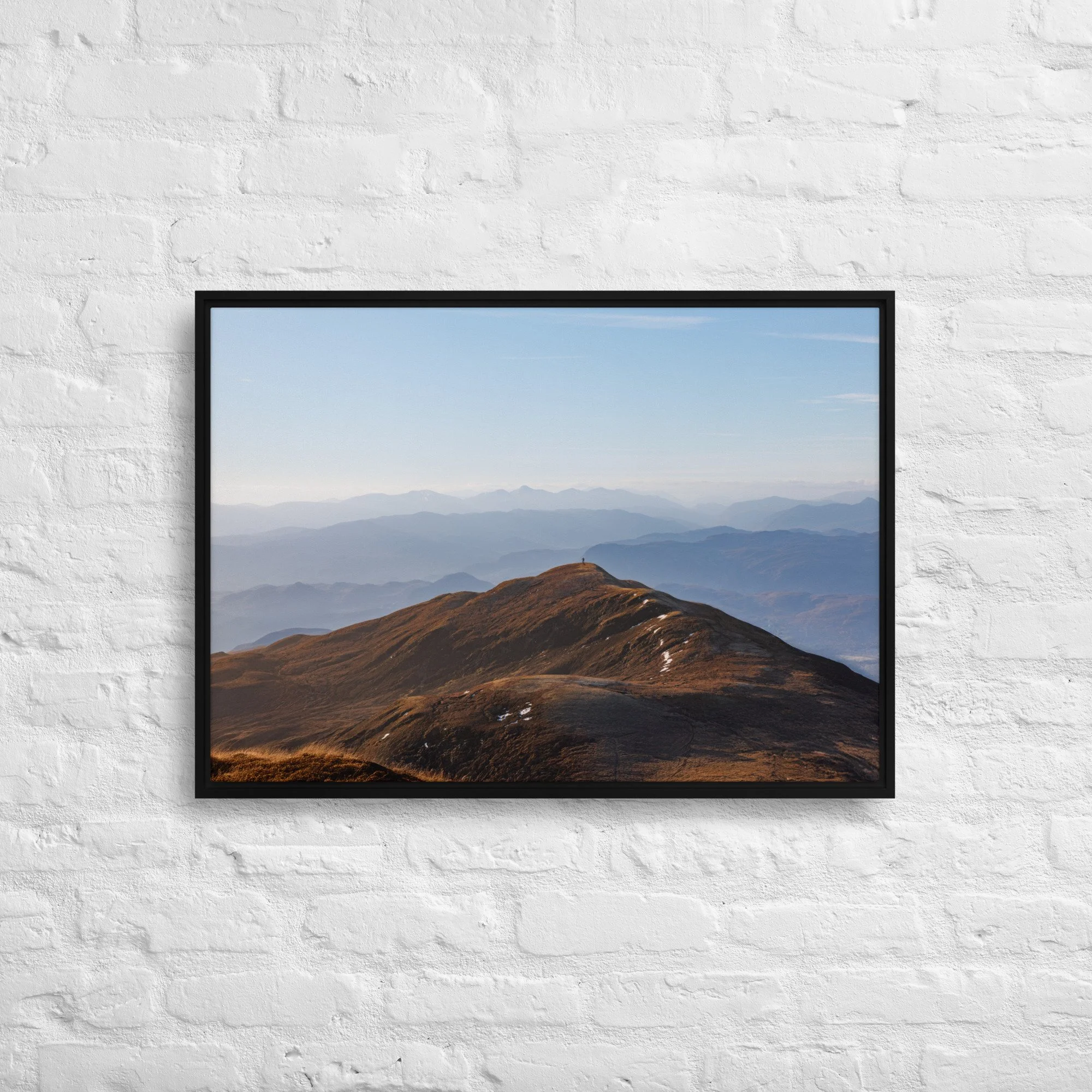 framed-canvas-(in)-black-20x28-front-68a8b7b612d2c.jpg