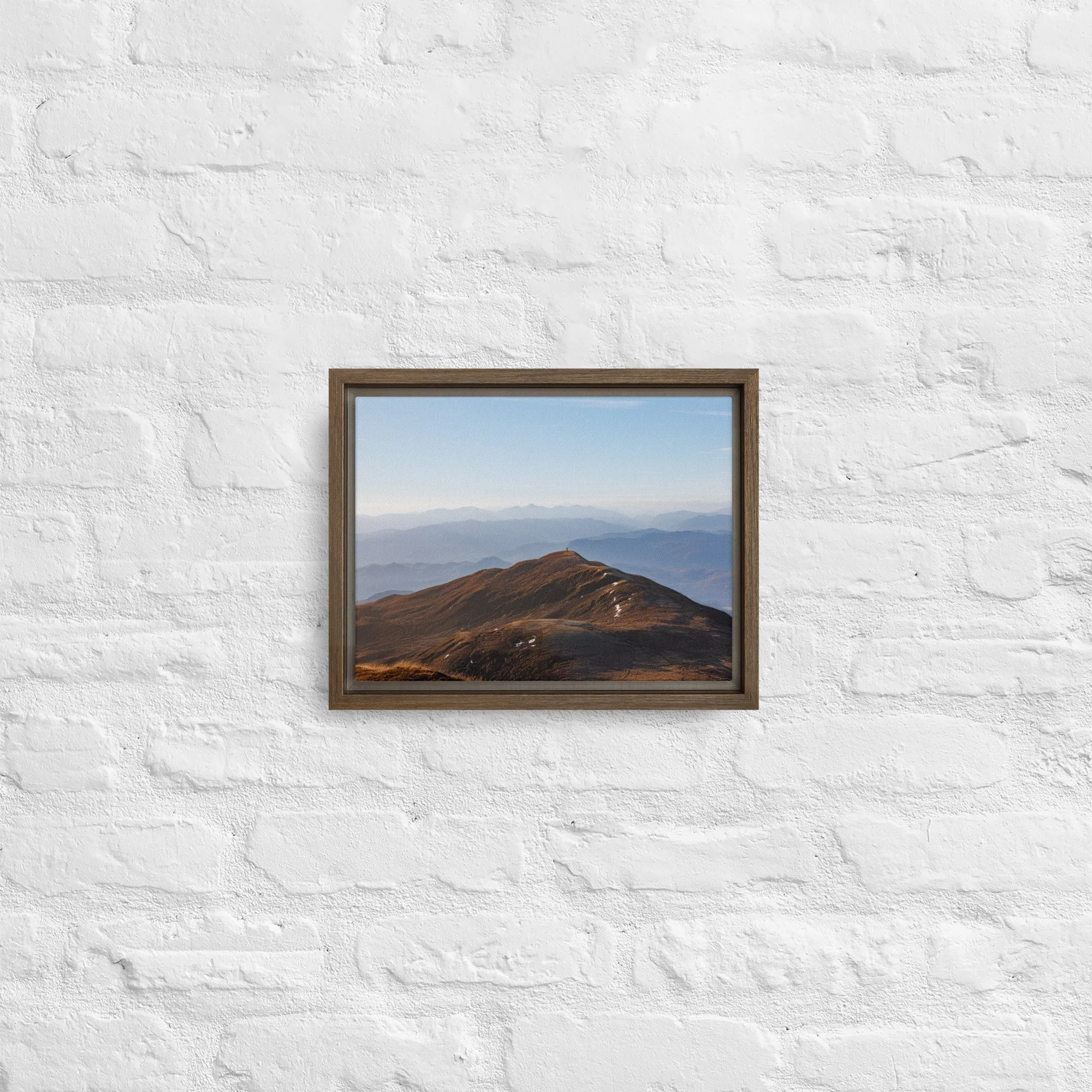 framed-canvas-(in)-brown-9x12-front-68a8b7b612f85.jpg