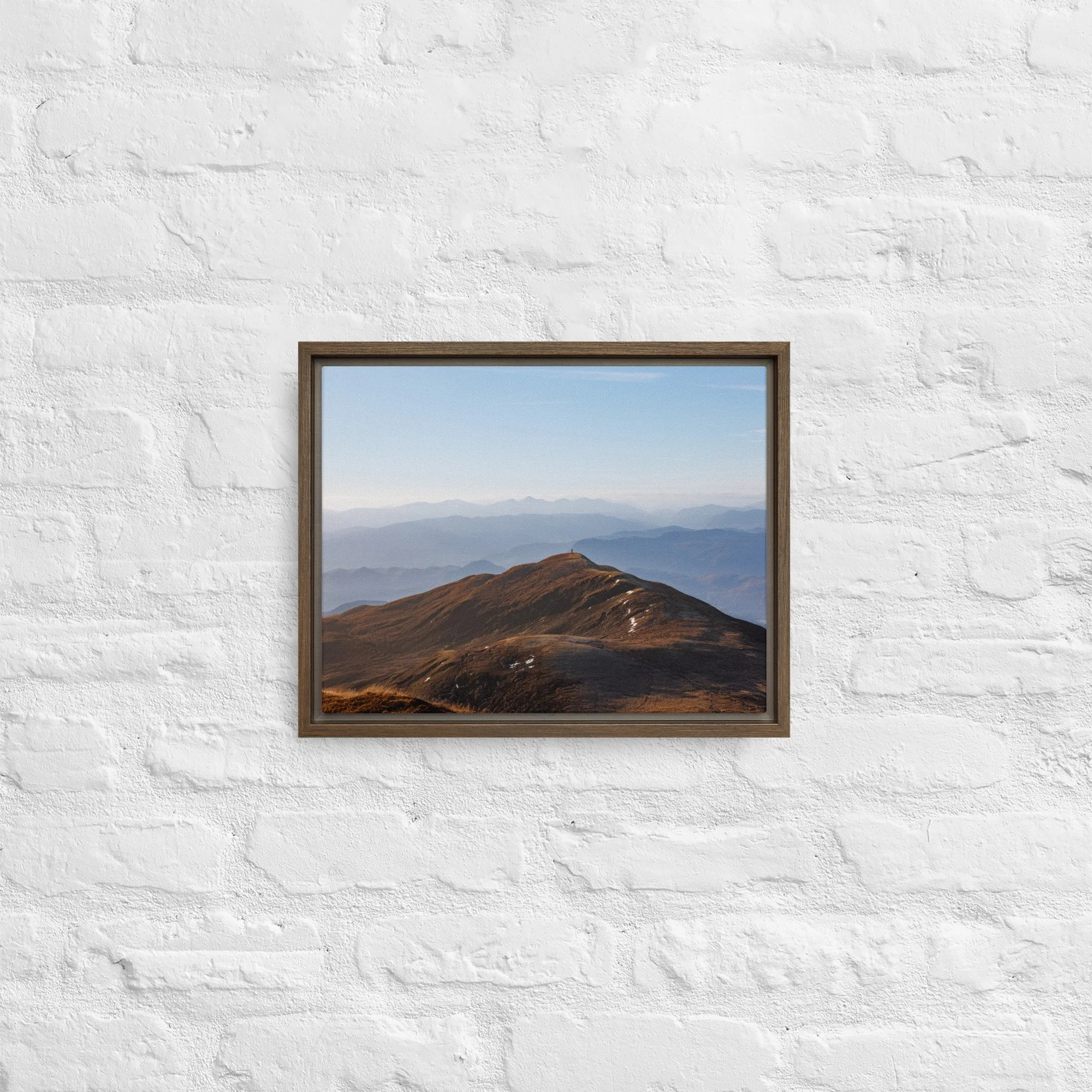 framed-canvas-(in)-brown-11x14-front-68a8b7b612fdf.jpg