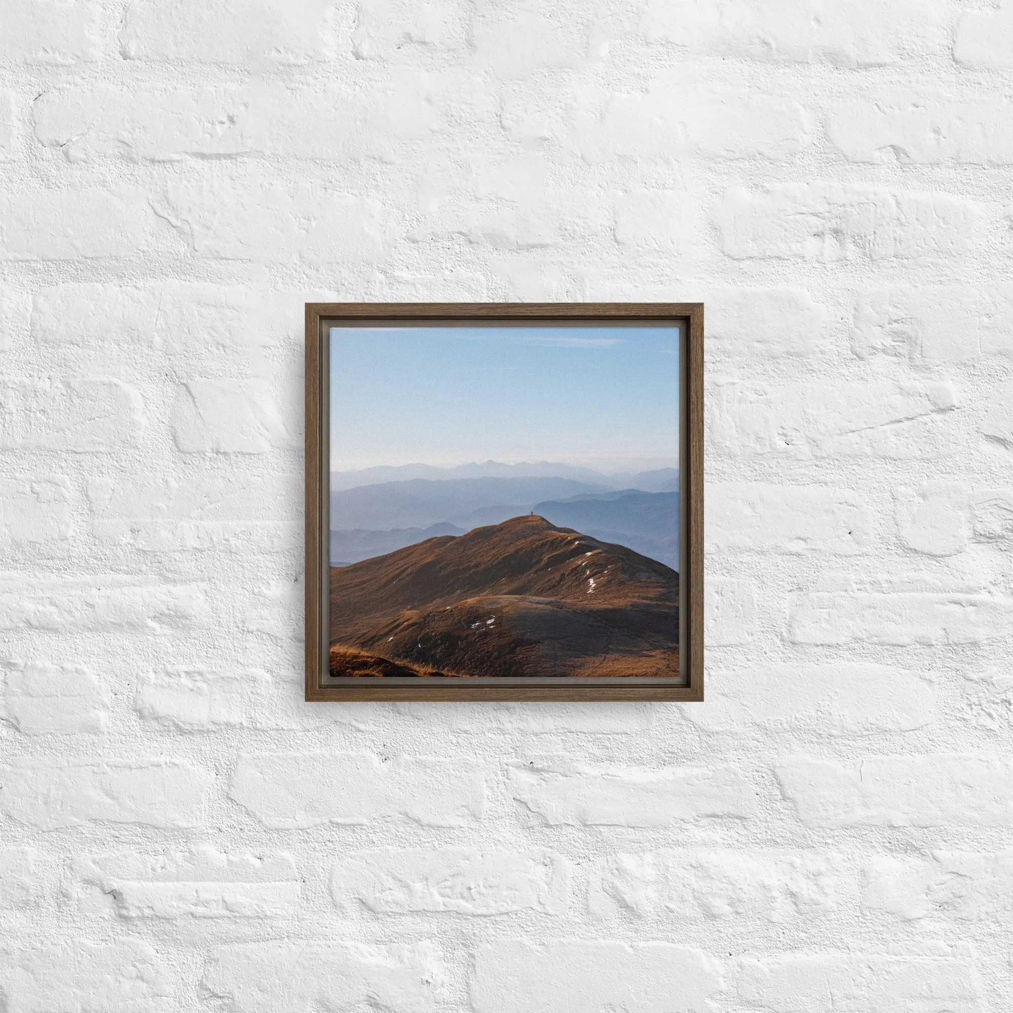 framed-canvas-(in)-brown-12x12-front-68a8b7b613039.jpg