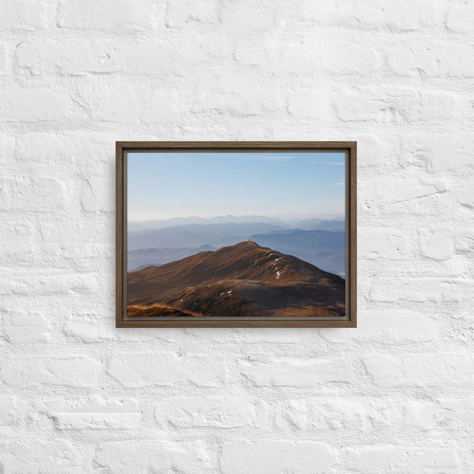 framed-canvas-(in)-brown-12x16-front-68a8b7b613096.jpg