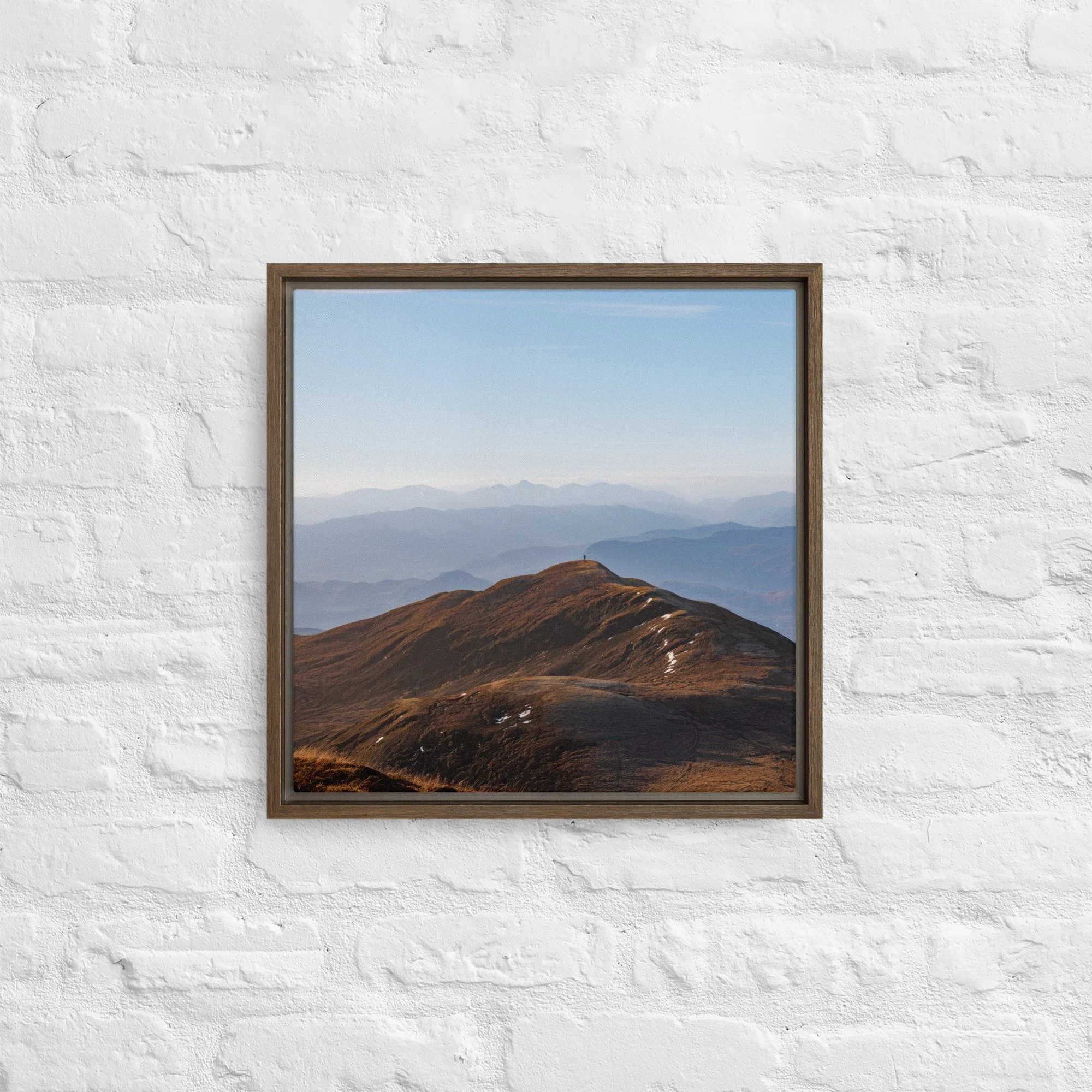 framed-canvas-(in)-brown-16x16-front-68a8b7b6131bb.jpg