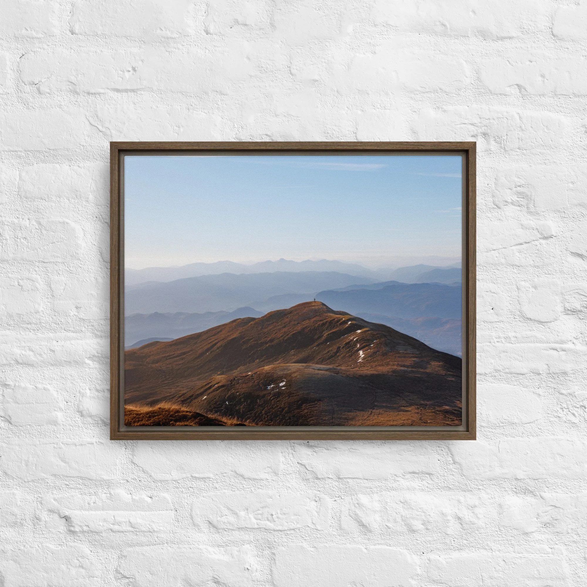 framed-canvas-(in)-brown-16x20-front-68a8b7b61321c.jpg