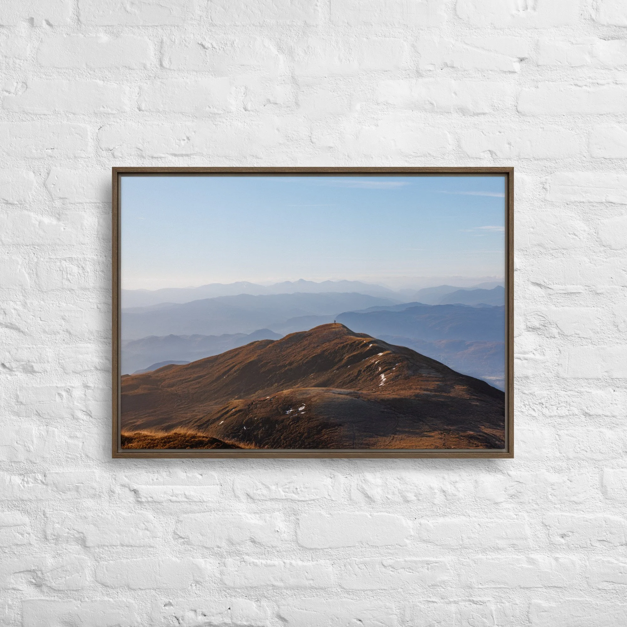 framed-canvas-(in)-brown-20x28-front-68a8b7b6132df.jpg