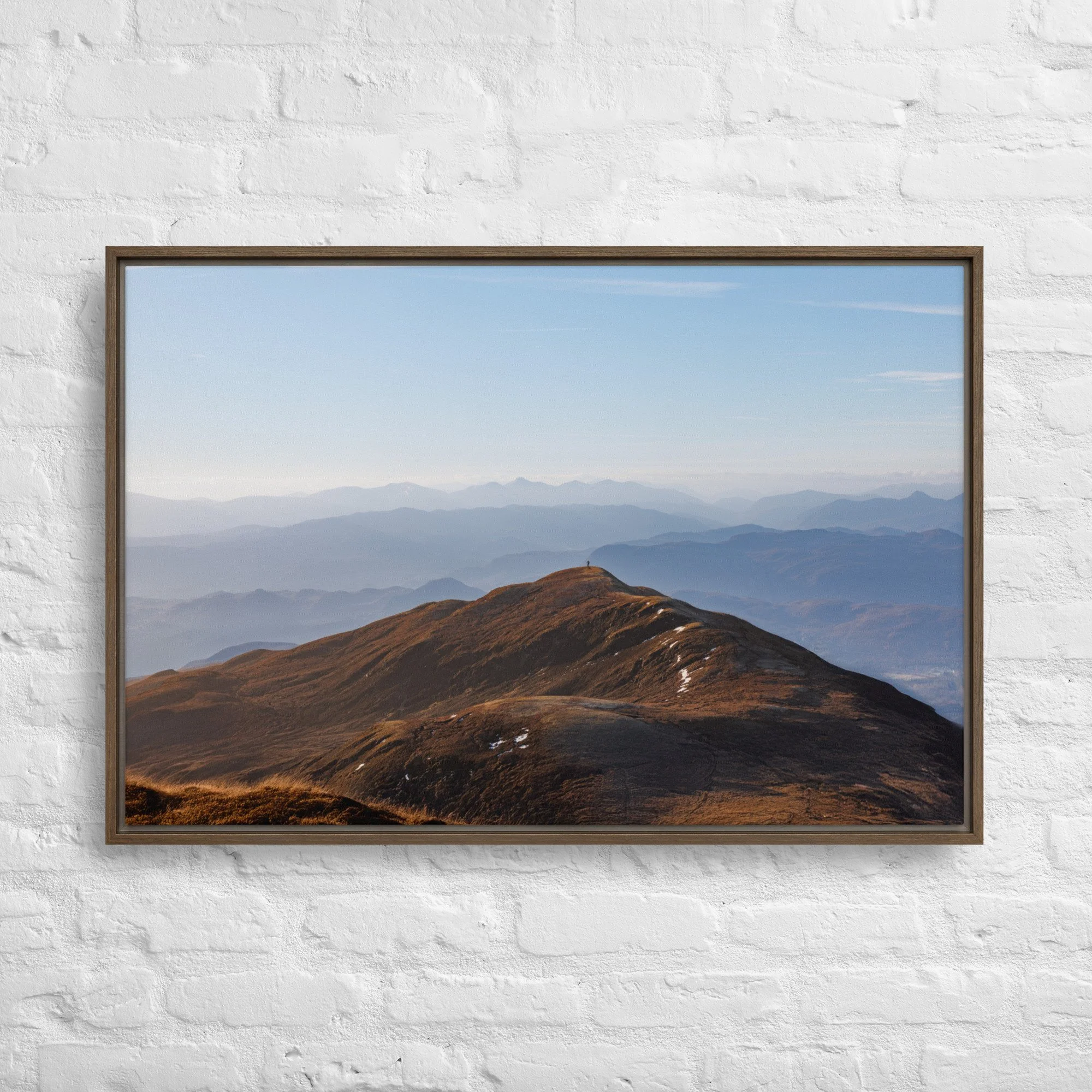 framed-canvas-(in)-brown-24x36-front-68a8b7b61346c.jpg