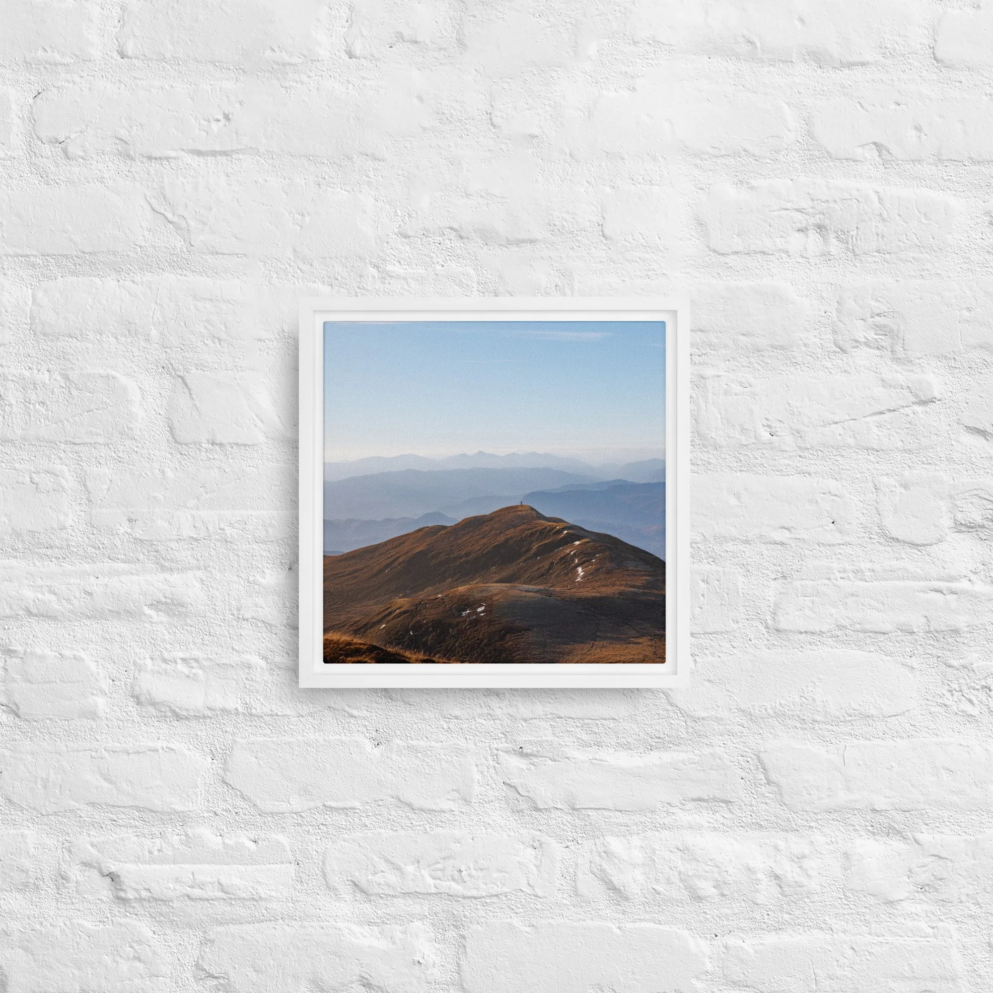 framed-canvas-(in)-white-12x12-front-68a8b7b613651.jpg