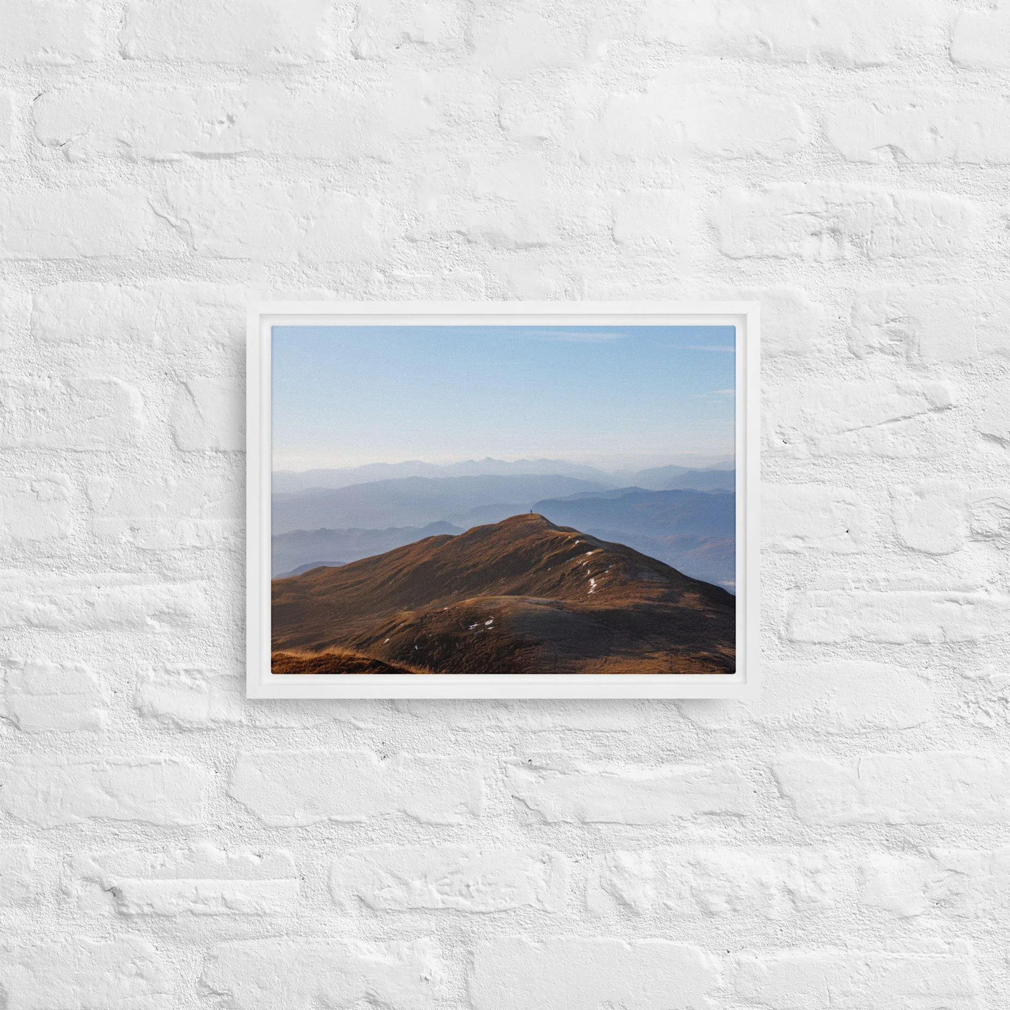 framed-canvas-(in)-white-12x16-front-68a8b7b6136c0.jpg