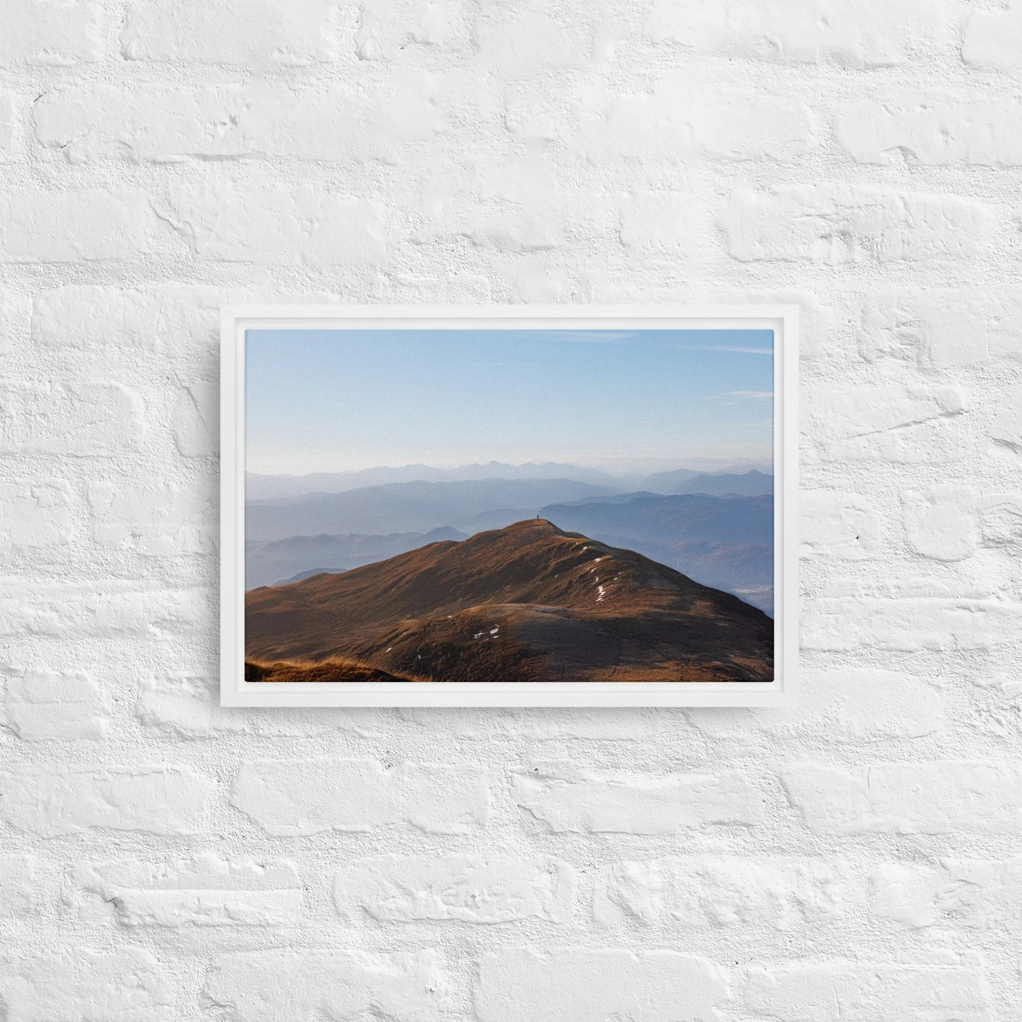 framed-canvas-(in)-white-12x18-front-68a8b7b613715.jpg