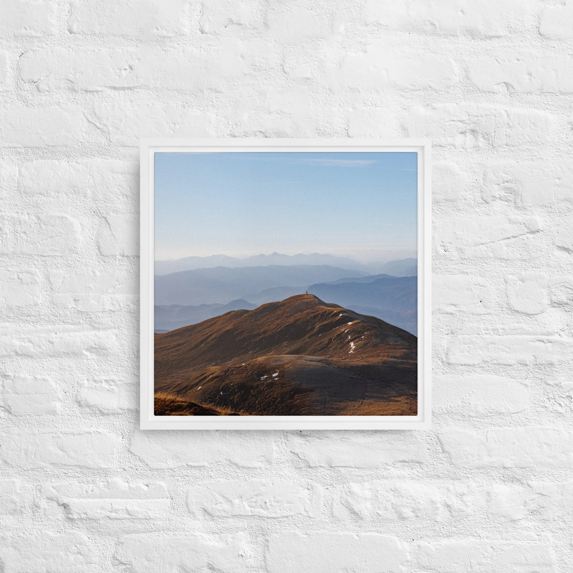 framed-canvas-(in)-white-16x16-front-68a8b7b61376b.jpg