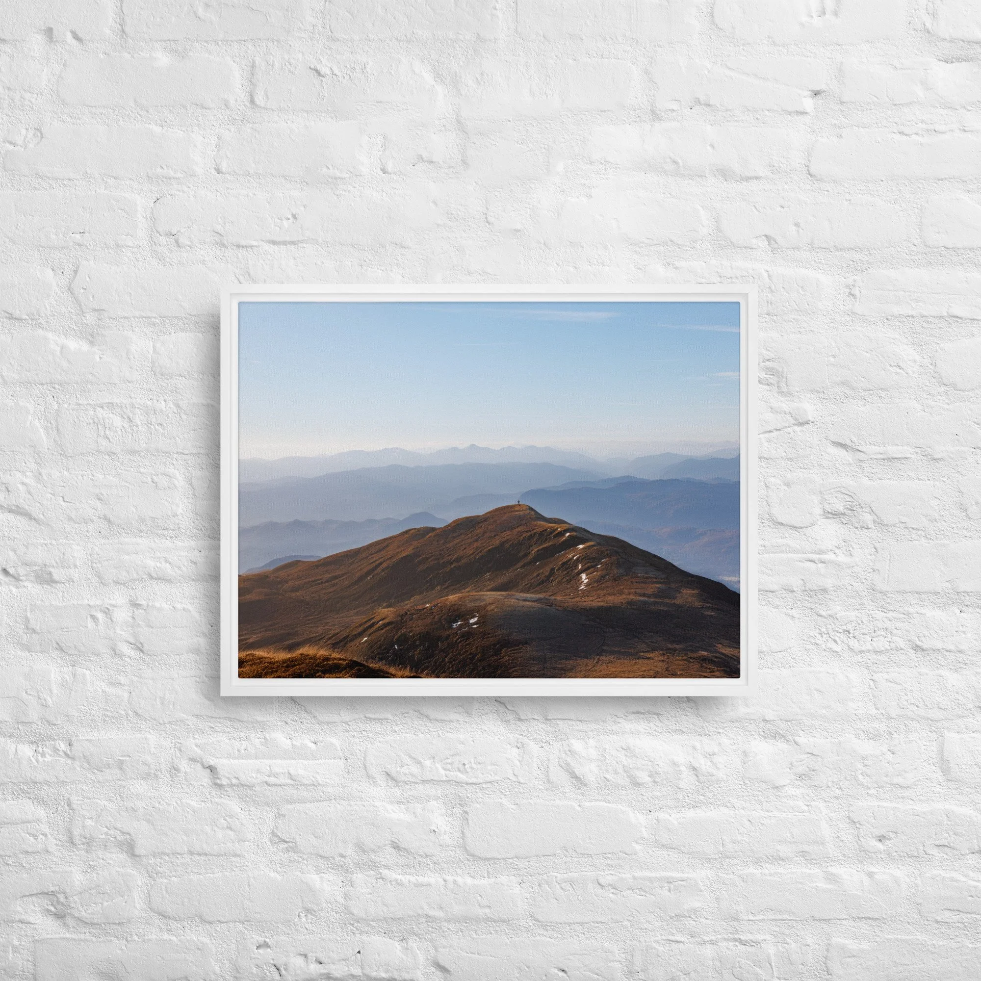 framed-canvas-(in)-white-18x24-front-68a8b7b61386b.jpg