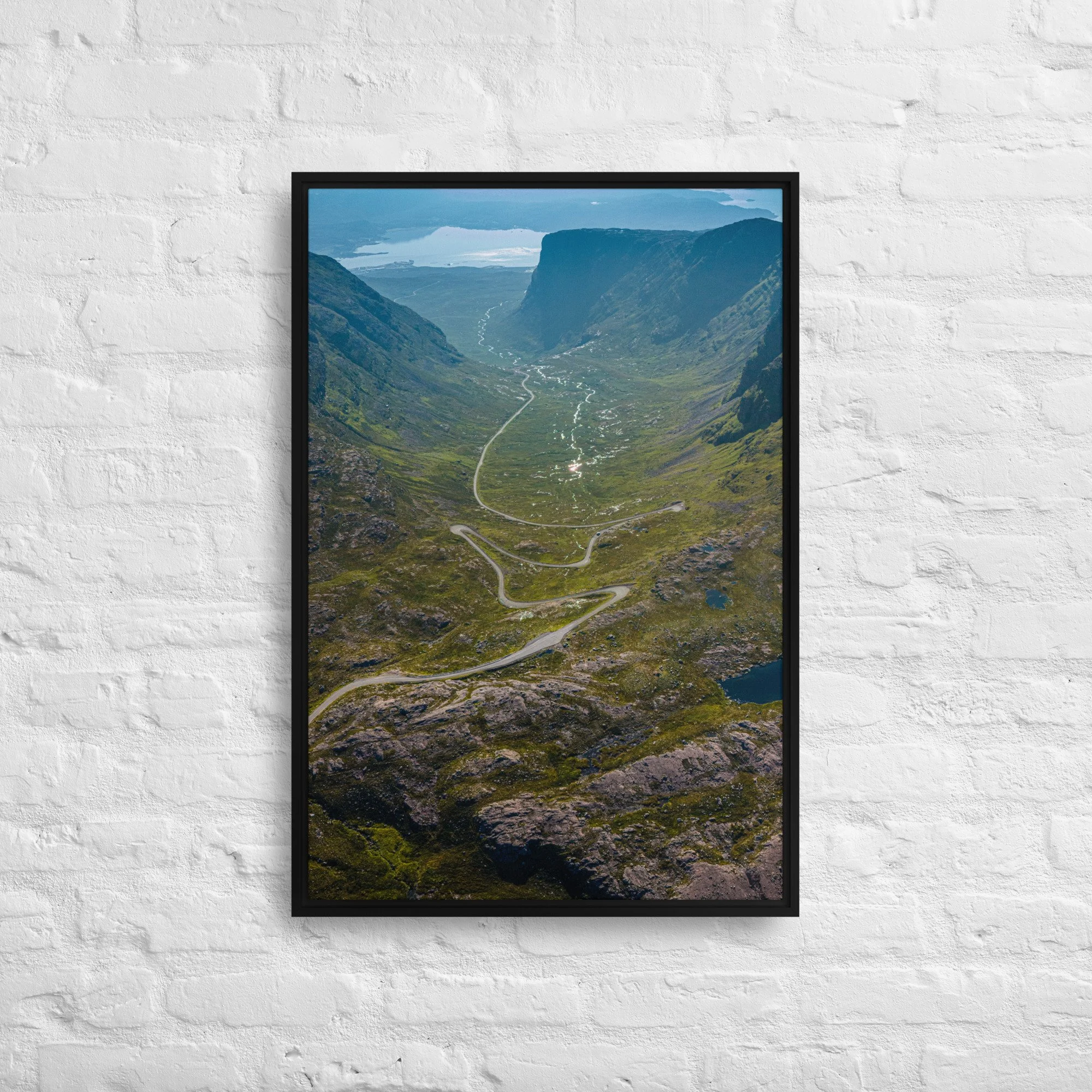 framed-canvas-(in)-black-20x30-front-68a9d2016d919.jpg