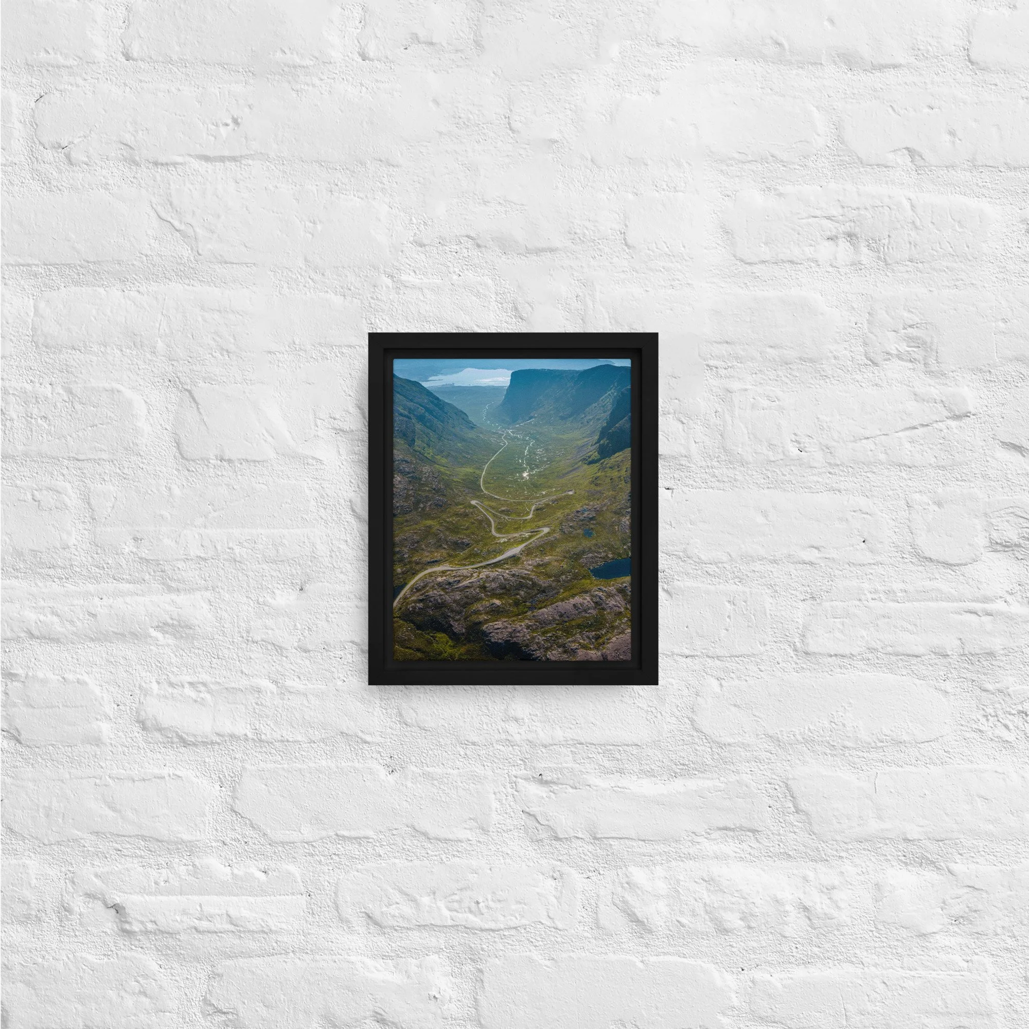 framed-canvas-(in)-black-8x10-front-68a9d2016def9.jpg