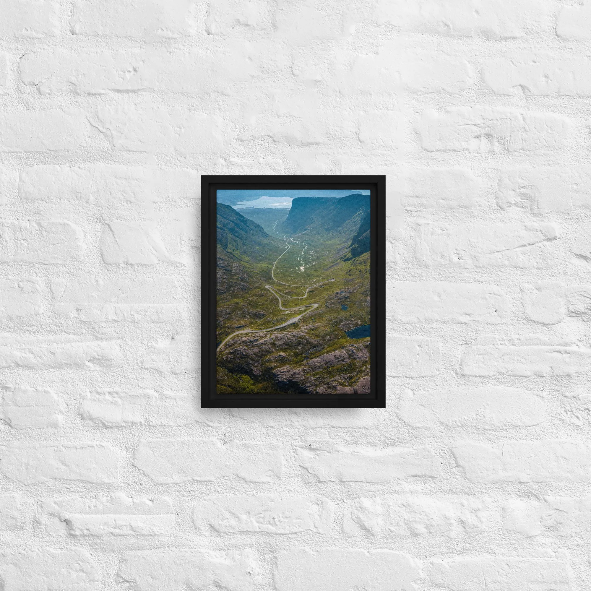 framed-canvas-(in)-black-9x12-front-68a9d2016df6e.jpg