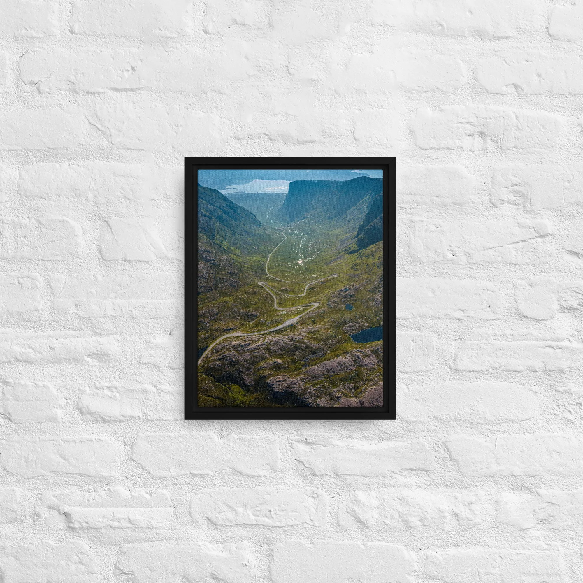 framed-canvas-(in)-black-11x14-front-68a9d2016dfc9.jpg