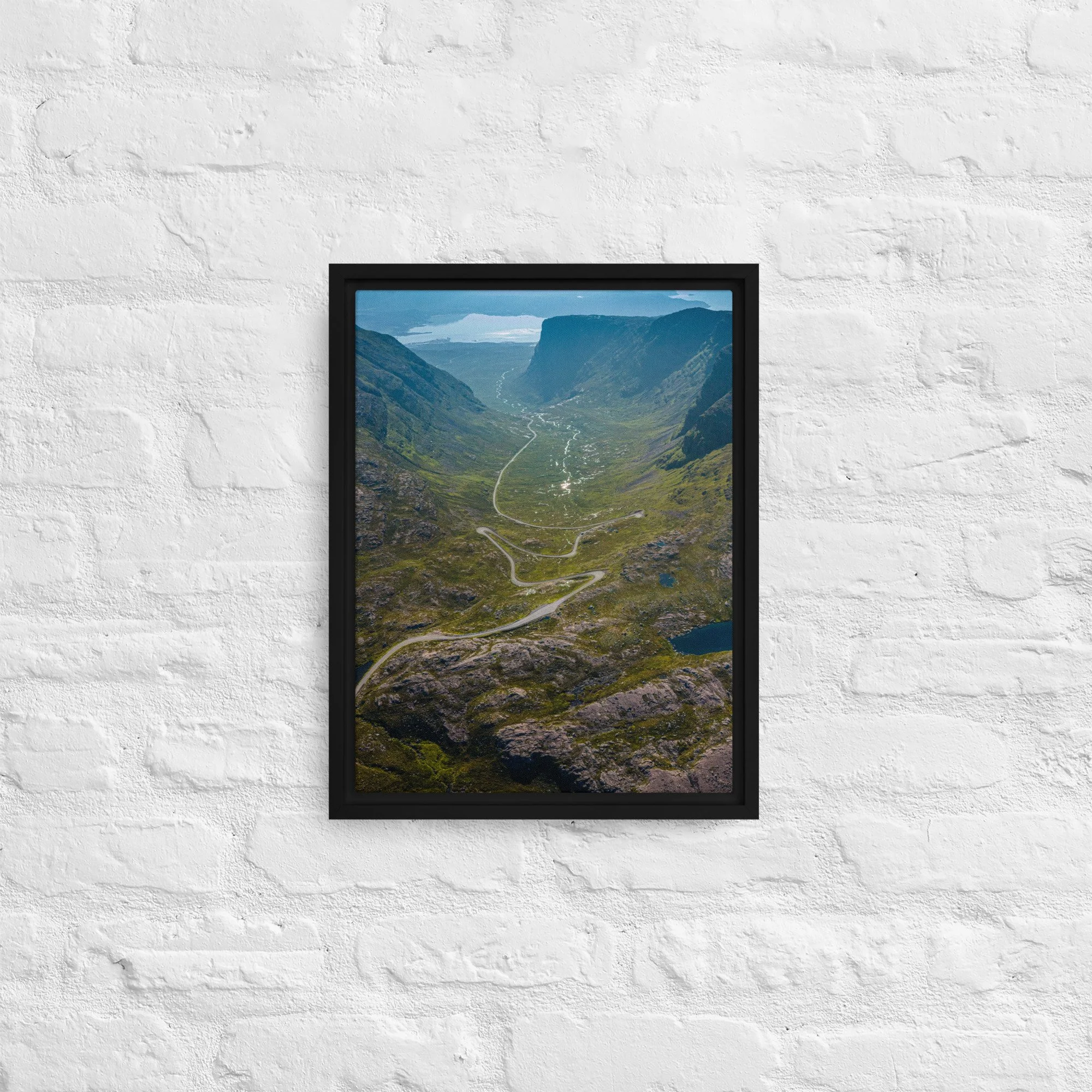 framed-canvas-(in)-black-12x16-front-68a9d2016e0a0.jpg