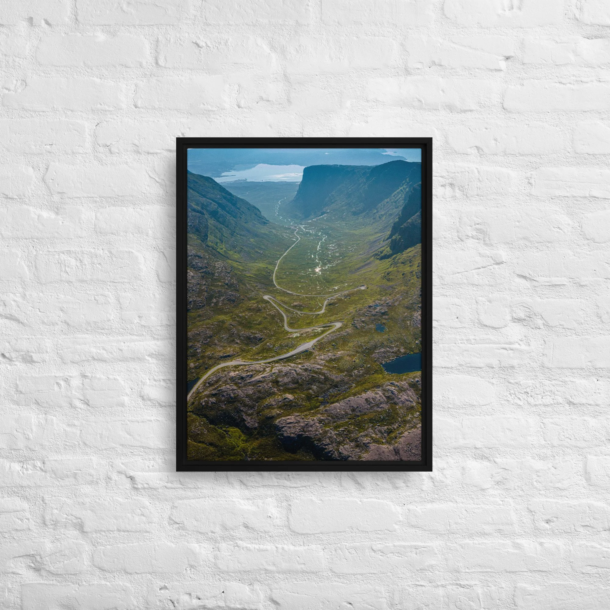 framed-canvas-(in)-black-18x24-front-68a9d2016e202.jpg