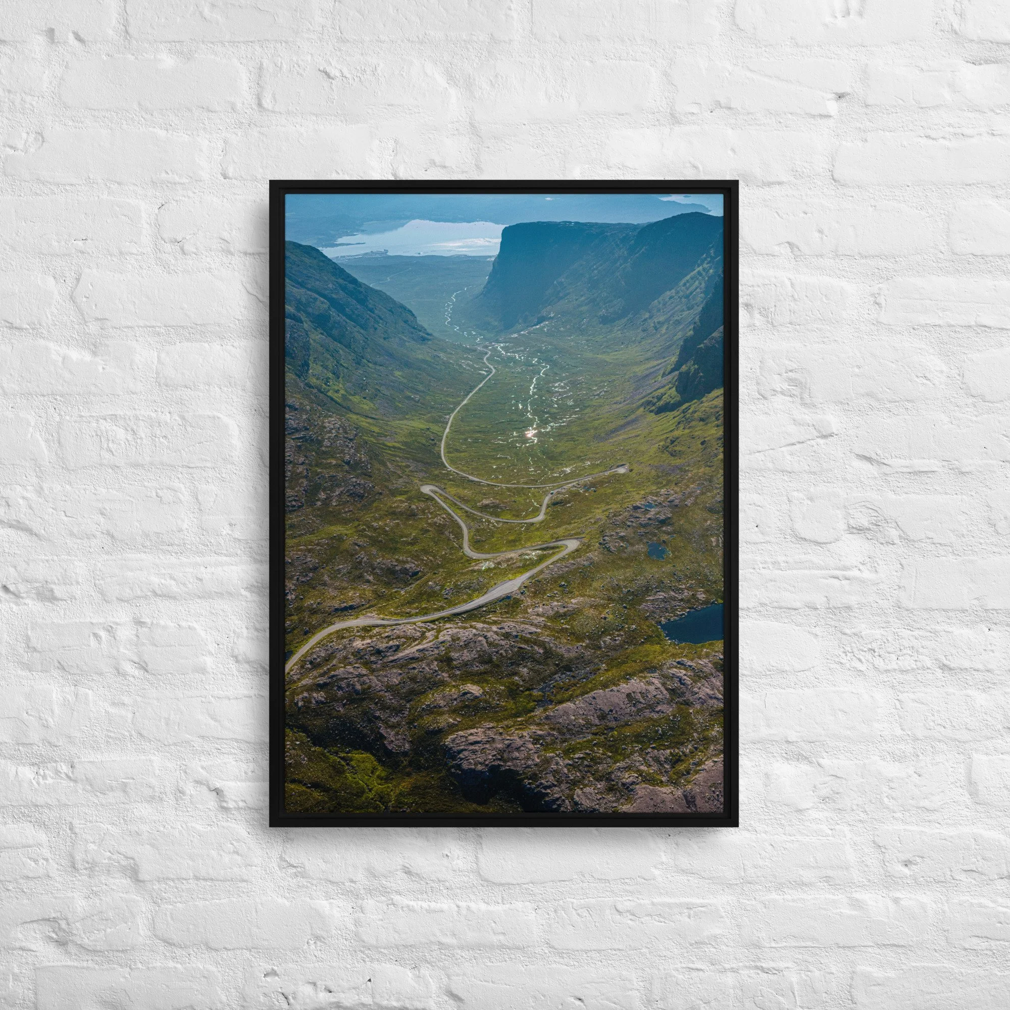 framed-canvas-(in)-black-20x28-front-68a9d2016e256.jpg