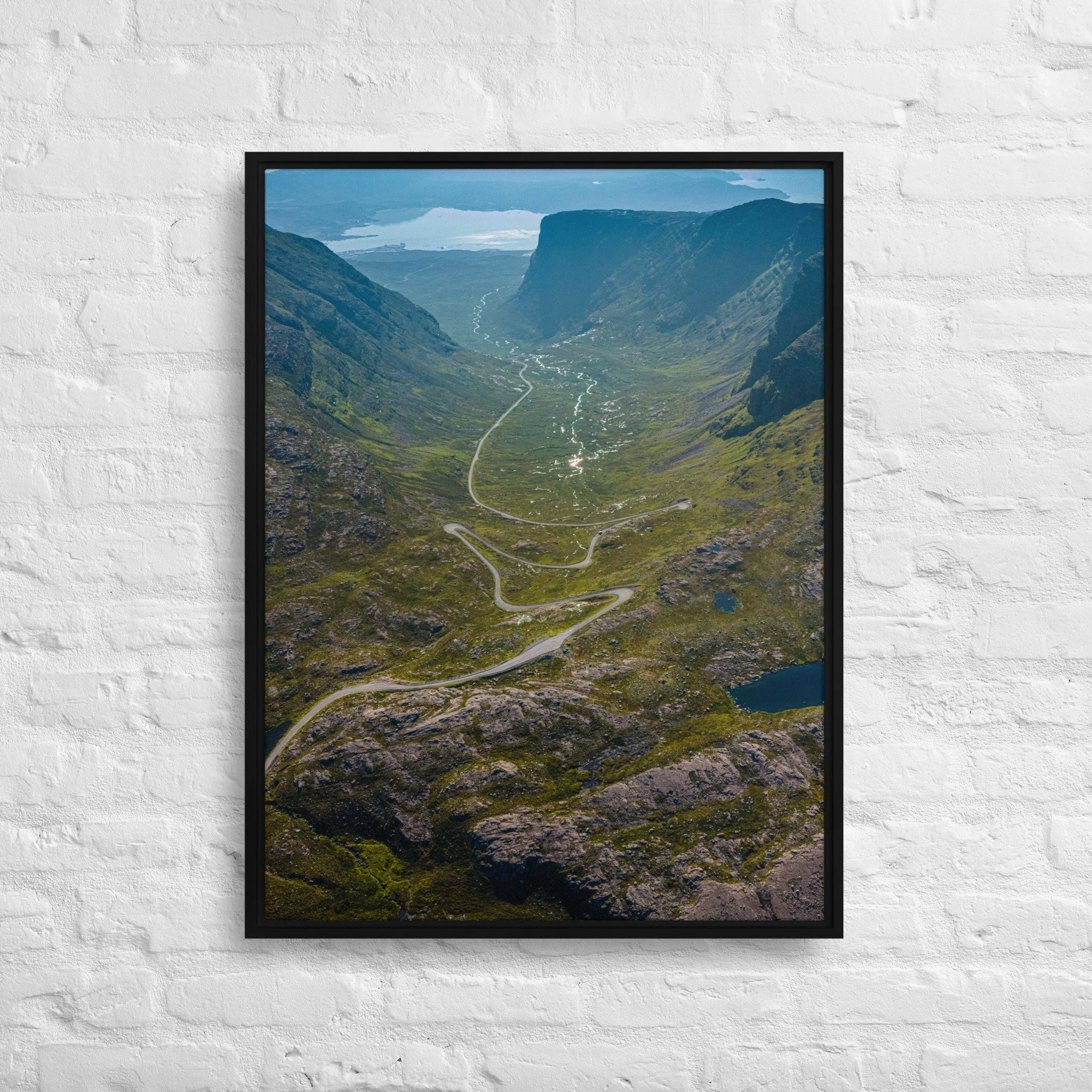 framed-canvas-(in)-black-24x32-front-68a9d2016e2c0.jpg
