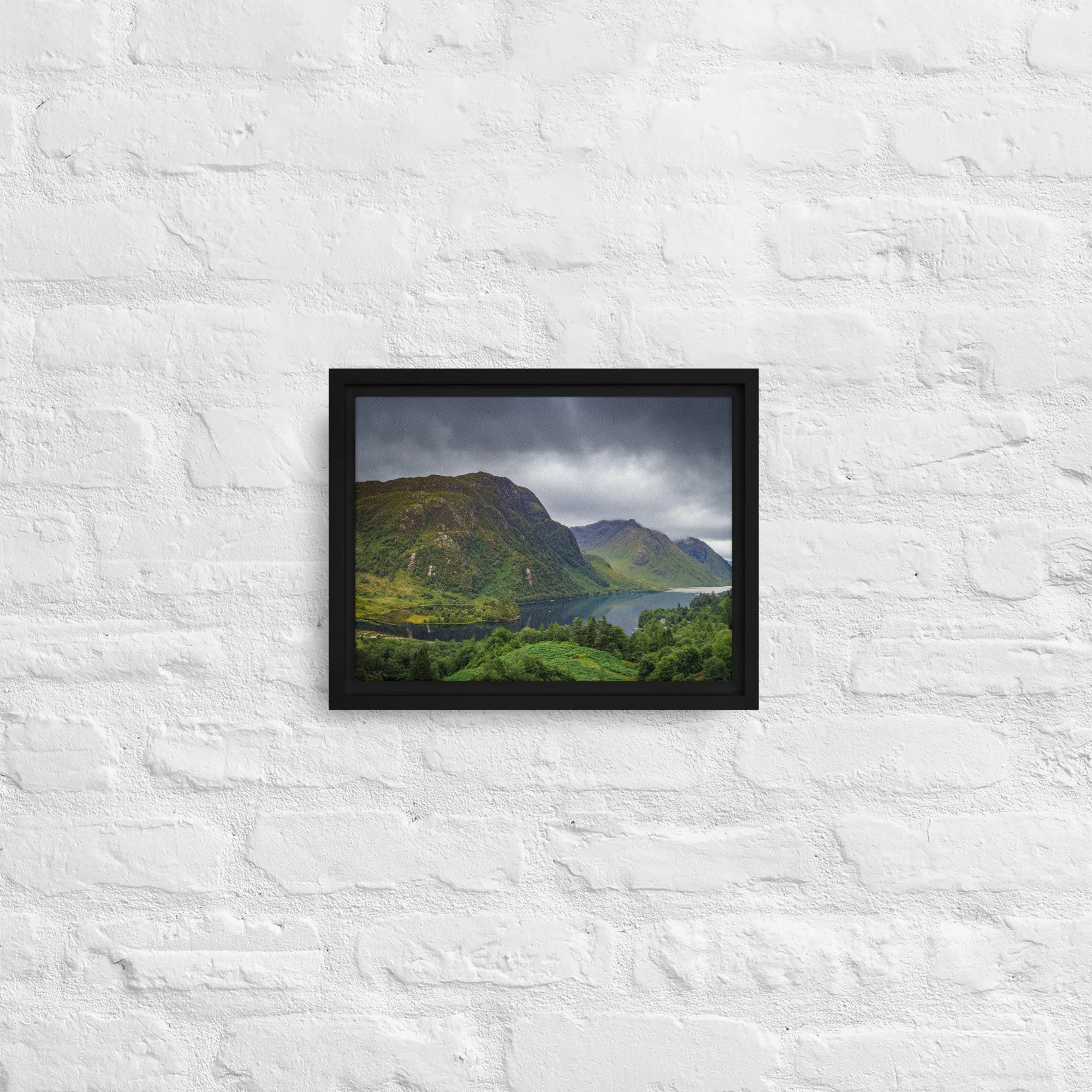 framed-canvas-(in)-black-9x12-front-68a9d78ed0d4e.jpg