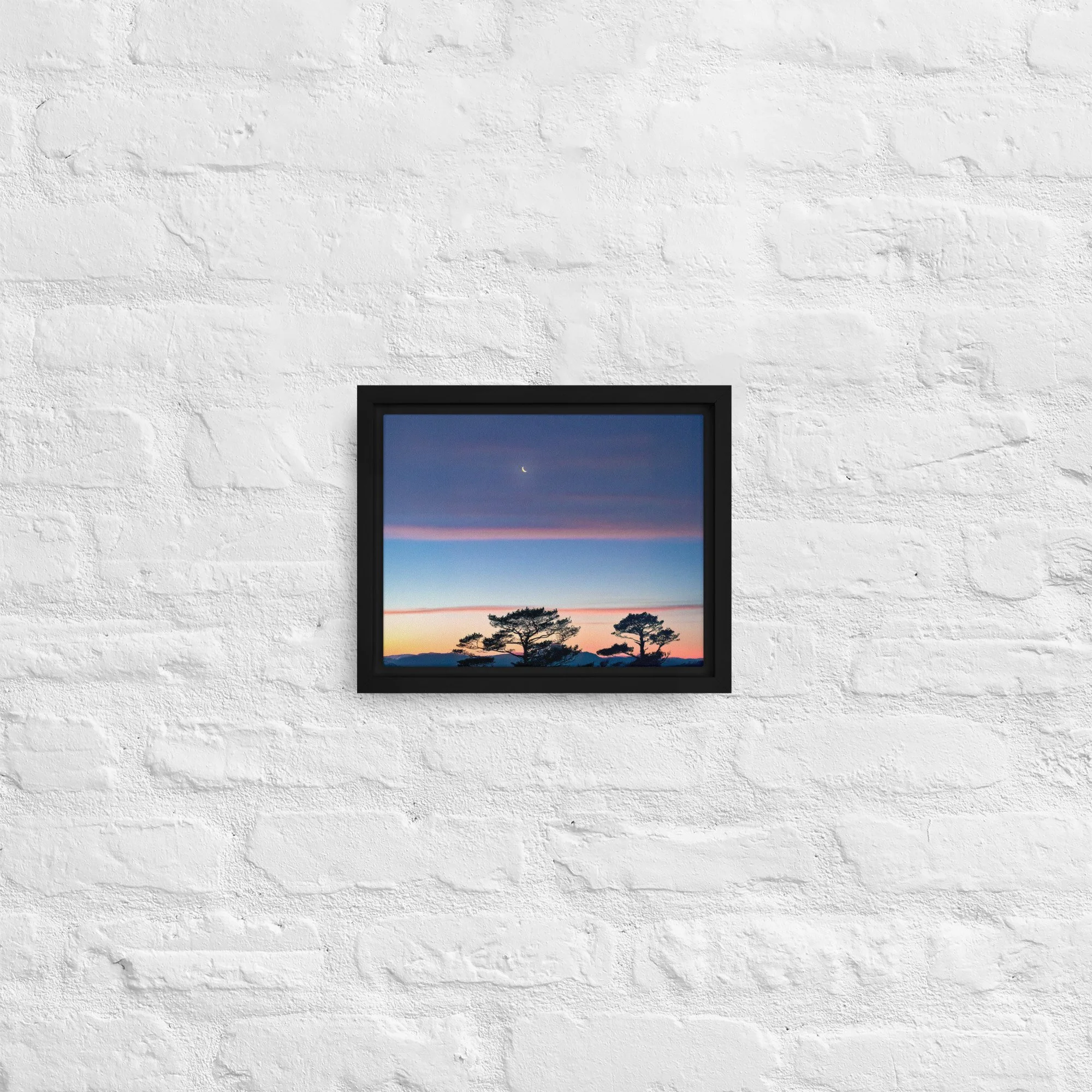 framed-canvas-(in)-black-8x10-front-68a9dd916cbc9.jpg