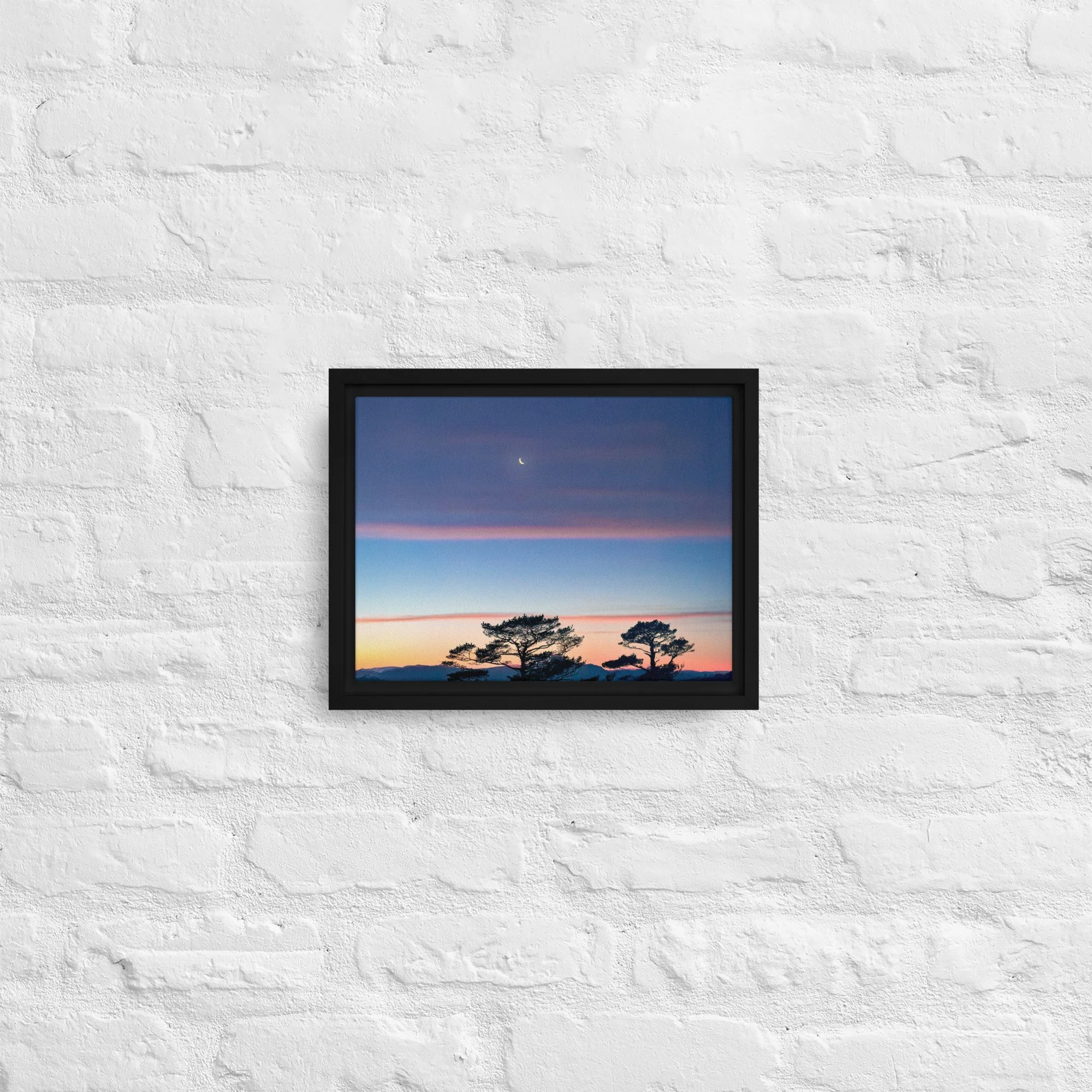 framed-canvas-(in)-black-9x12-front-68a9dd916cc75.jpg