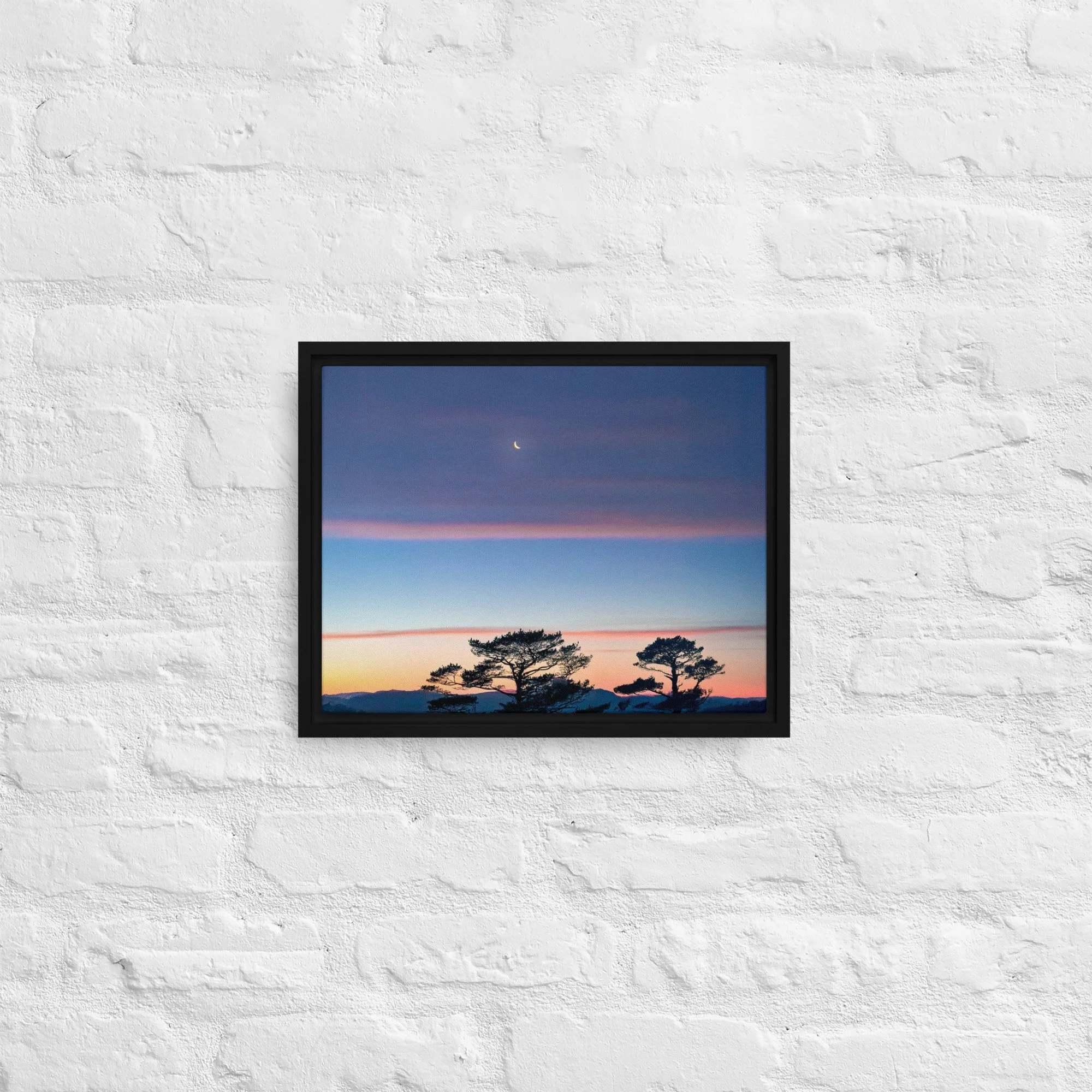 framed-canvas-(in)-black-11x14-front-68a9dd916cd08.jpg