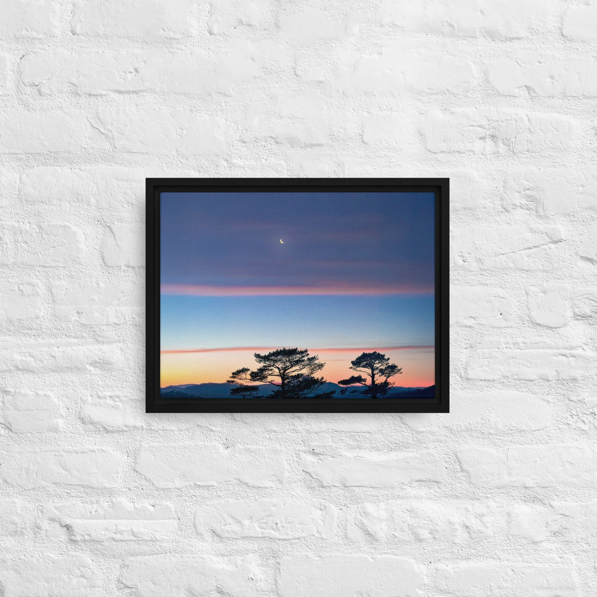 framed-canvas-(in)-black-12x16-front-68a9dd916ce28.jpg