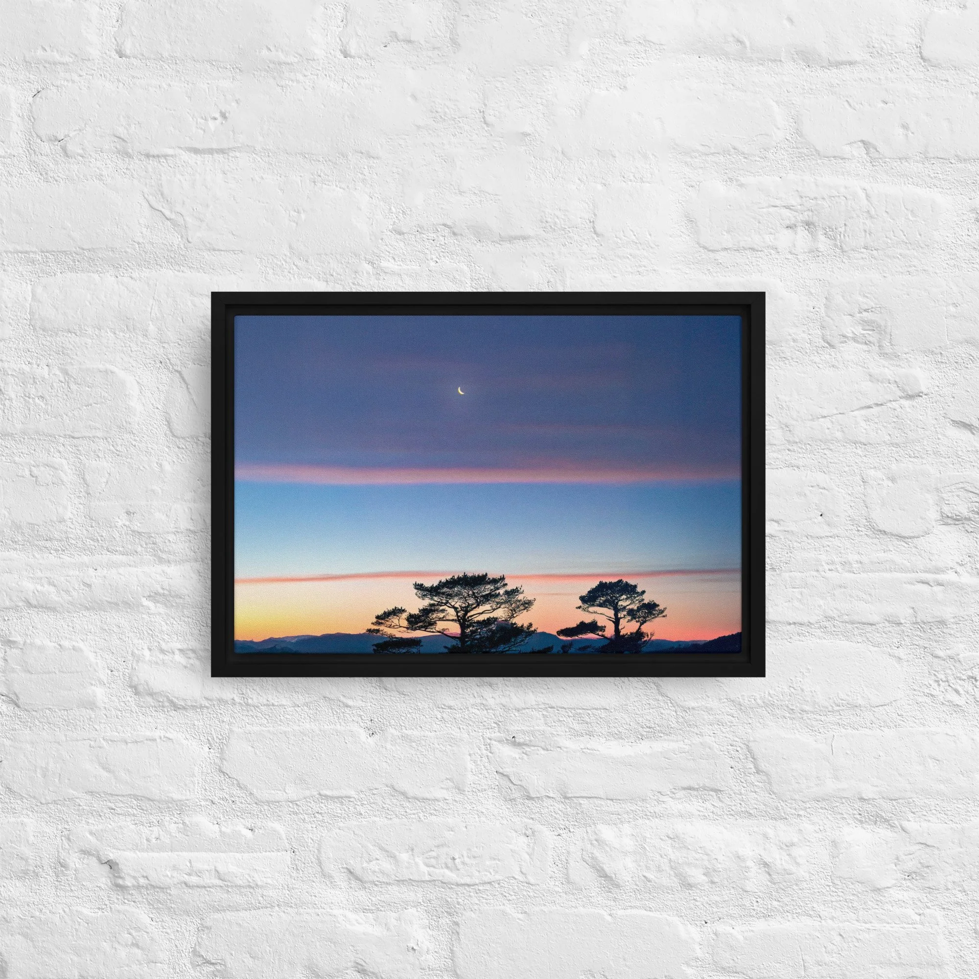framed-canvas-(in)-black-12x18-front-68a9dd916ceac.jpg