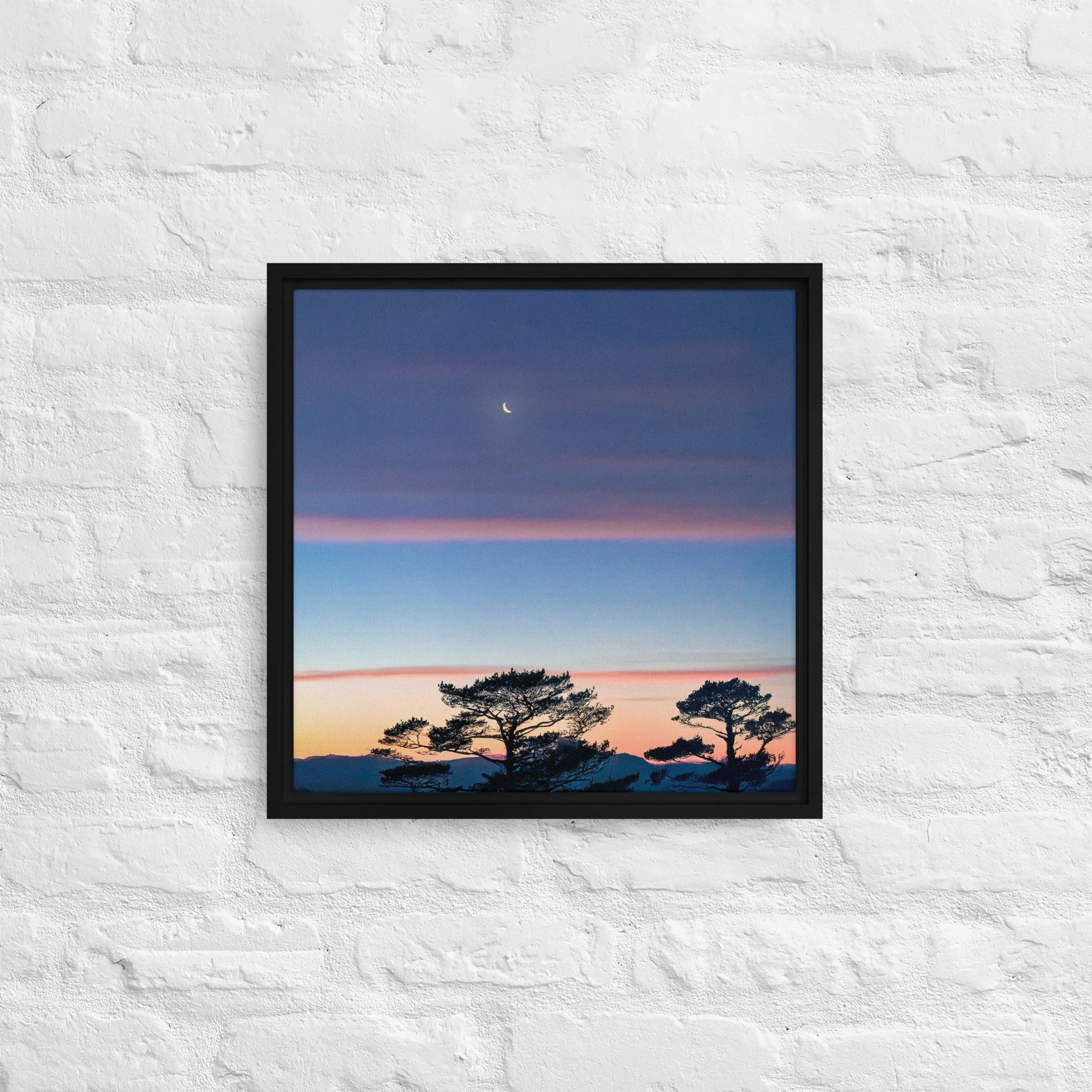 framed-canvas-(in)-black-16x16-front-68a9dd916cf38.jpg