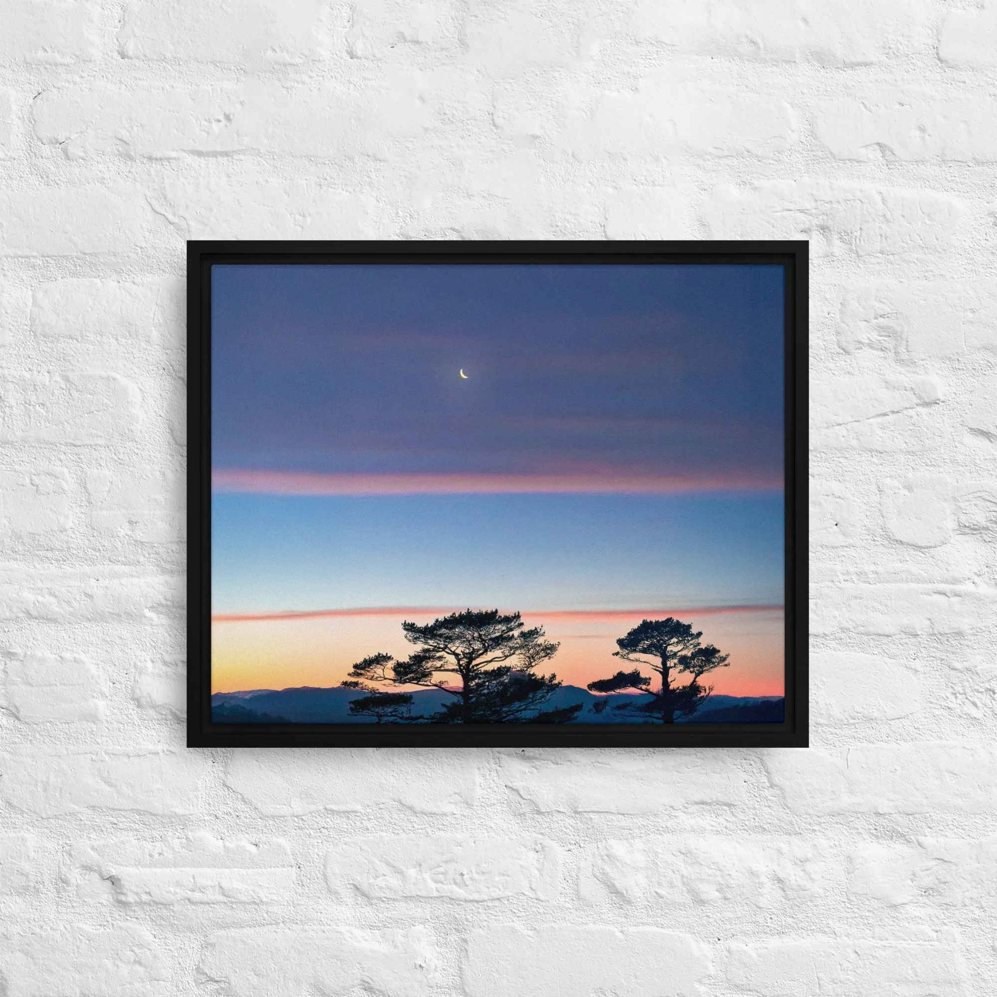 framed-canvas-(in)-black-16x20-front-68a9dd916cfc1.jpg