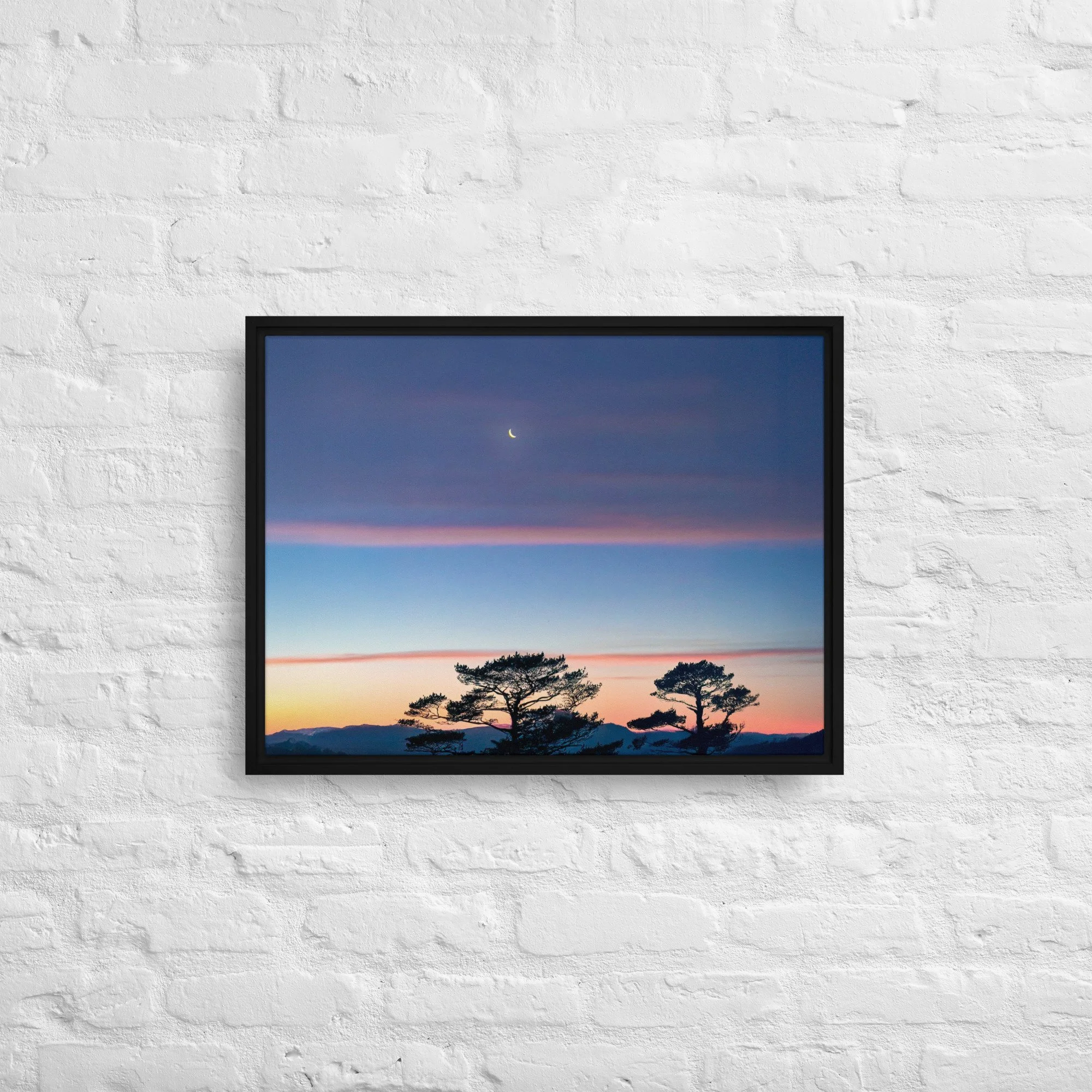framed-canvas-(in)-black-18x24-front-68a9dd916d049.jpg
