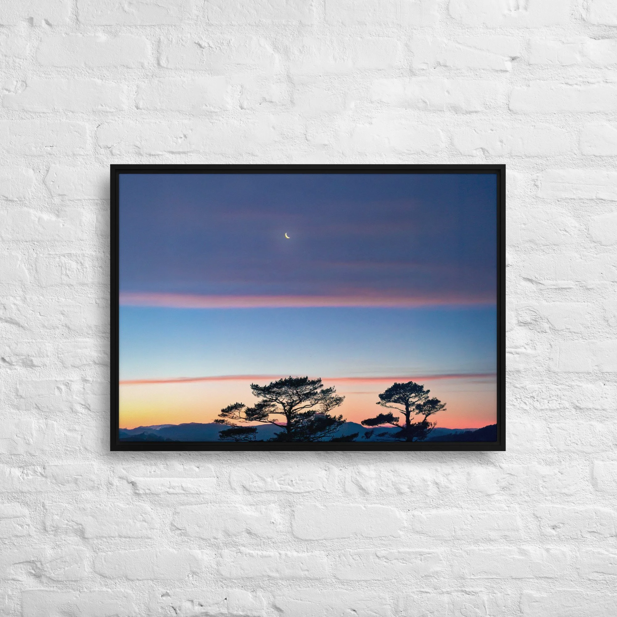 framed-canvas-(in)-black-20x28-front-68a9dd916d0ef.jpg