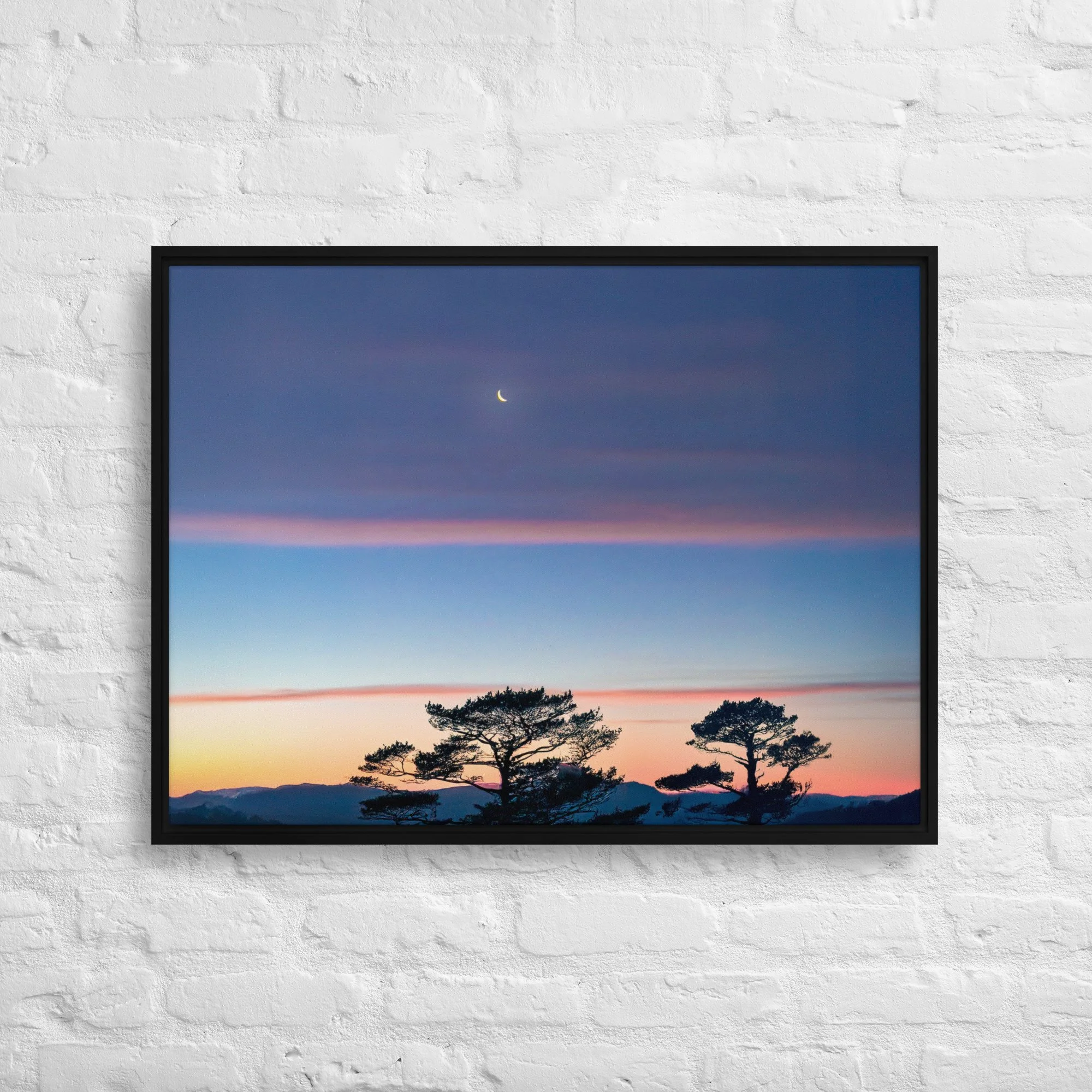 framed-canvas-(in)-black-24x32-front-68a9dd916d1c0.jpg