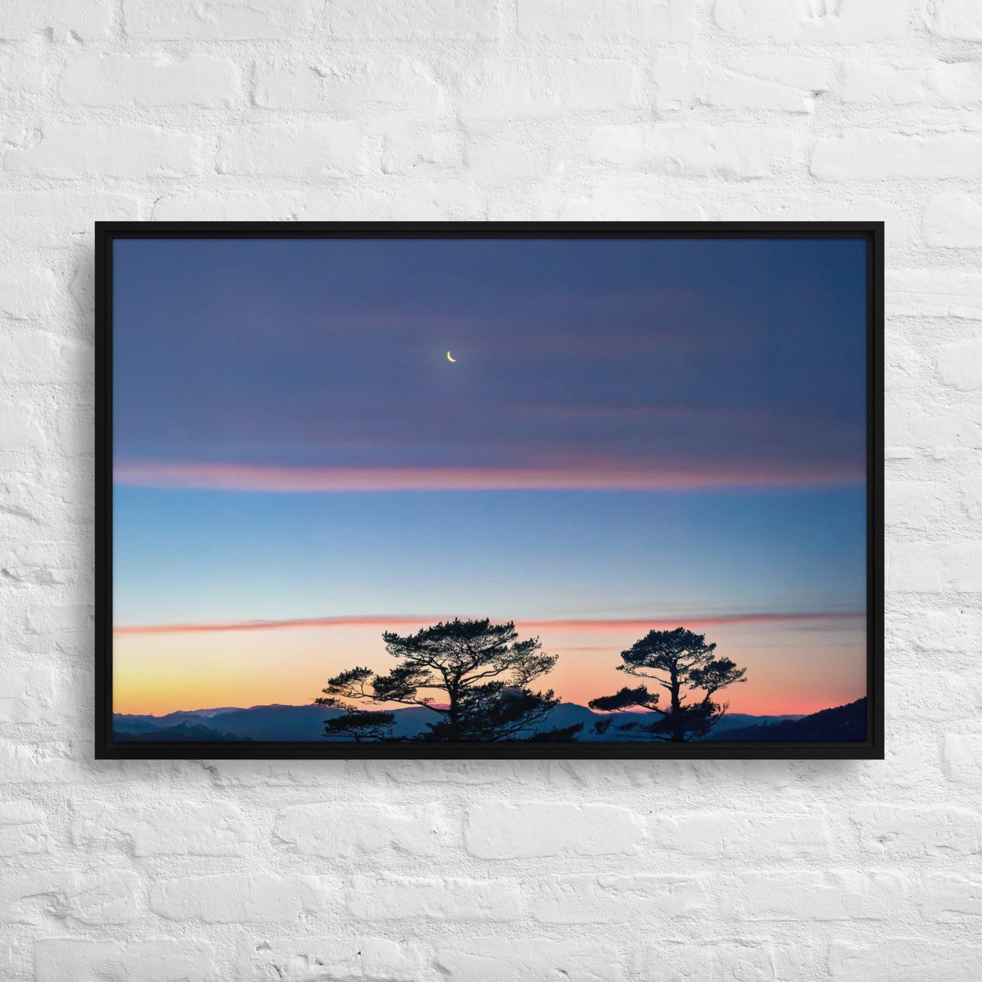 framed-canvas-(in)-black-24x36-front-68a9dd916d260.jpg
