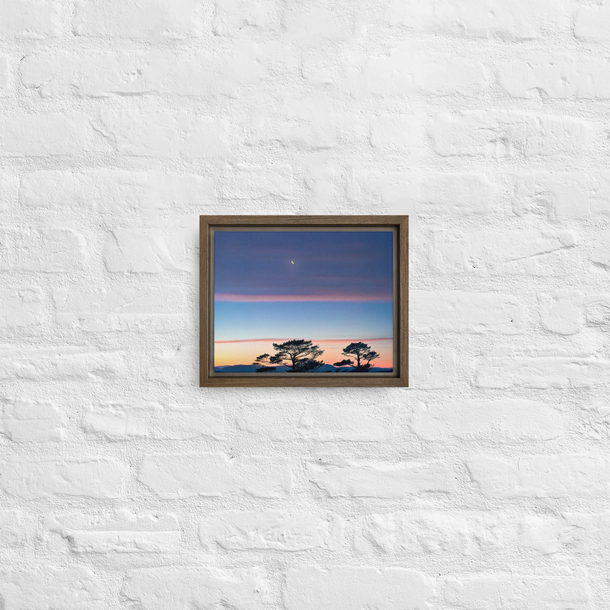 framed-canvas-(in)-brown-8x10-front-68a9dd916d2c3.jpg