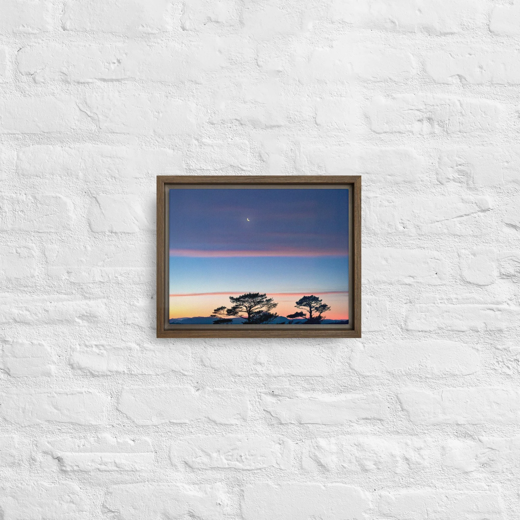 framed-canvas-(in)-brown-9x12-front-68a9dd916d31a.jpg