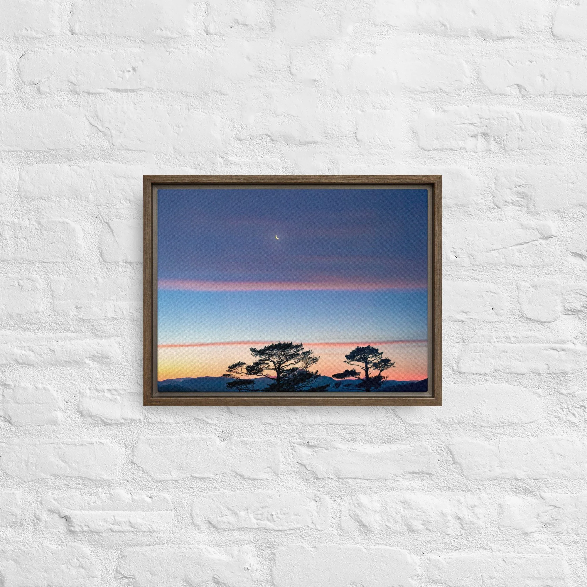 framed-canvas-(in)-brown-12x16-front-68a9dd916d4a9.jpg