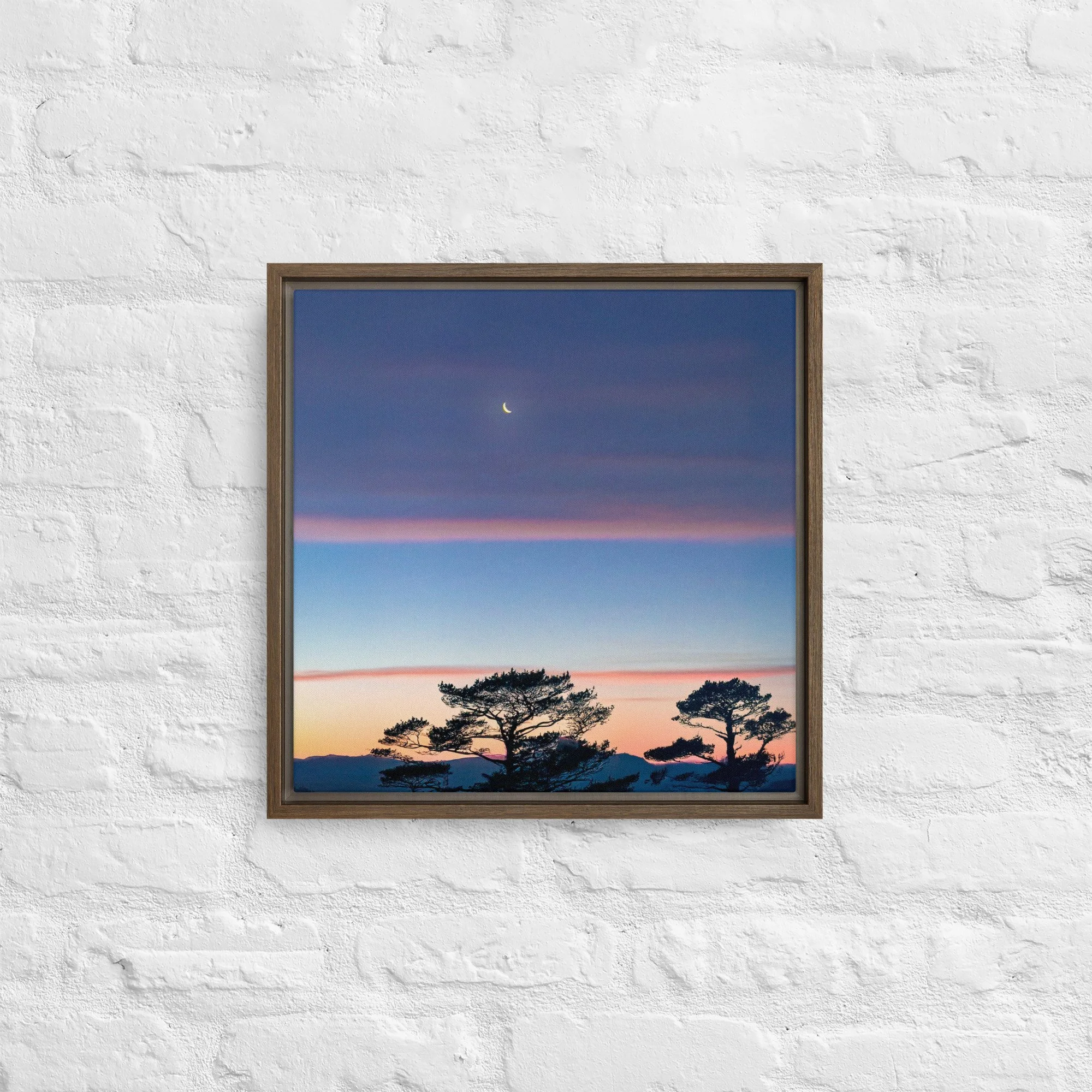 framed-canvas-(in)-brown-16x16-front-68a9dd916d598.jpg
