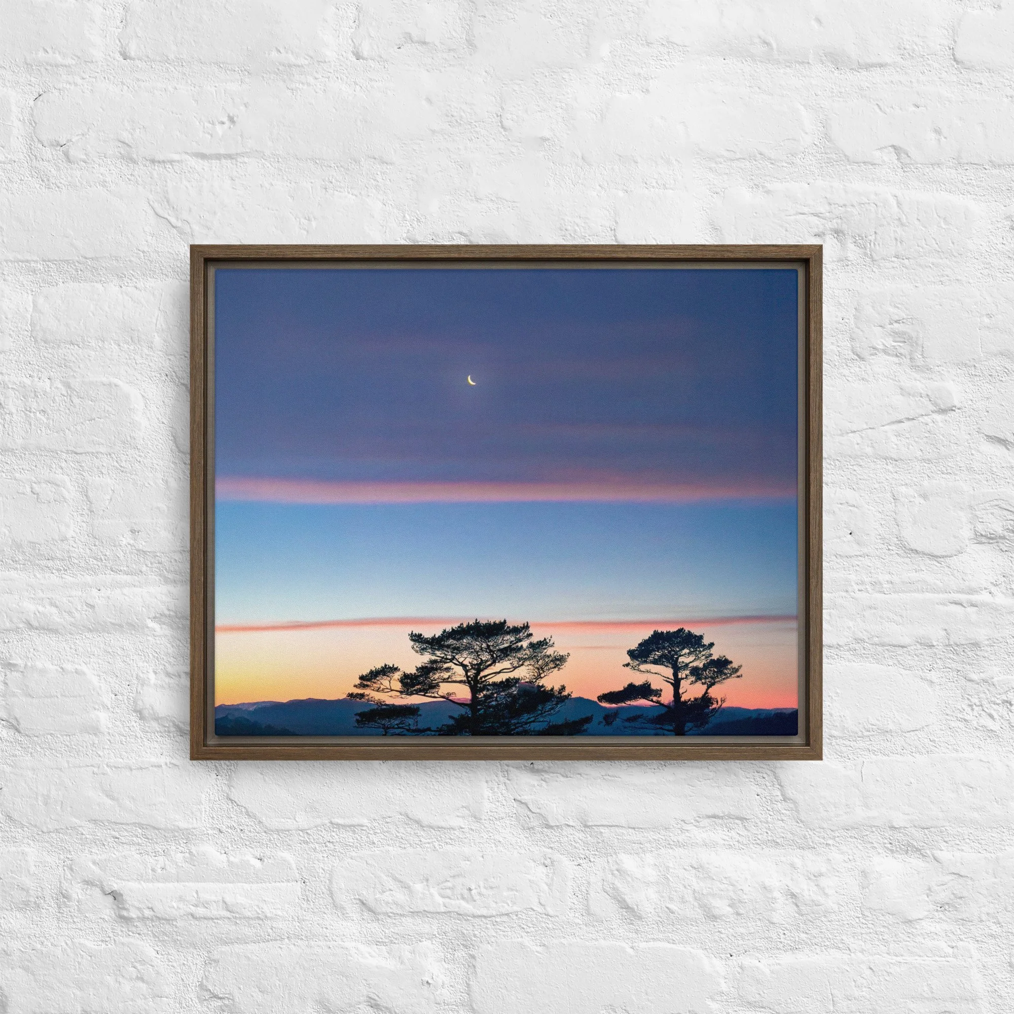 framed-canvas-(in)-brown-16x20-front-68a9dd916d5f2.jpg