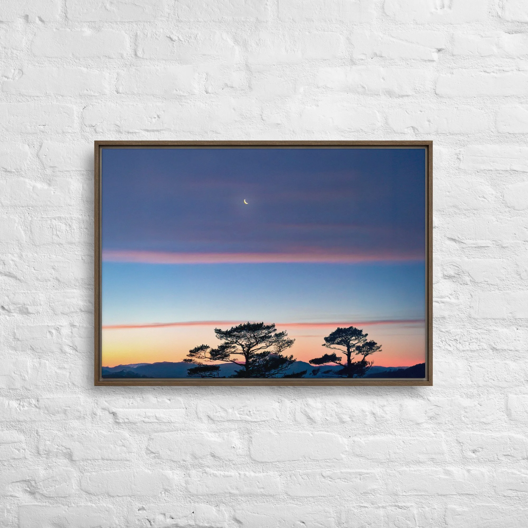 framed-canvas-(in)-brown-20x28-front-68a9dd916d69e.jpg