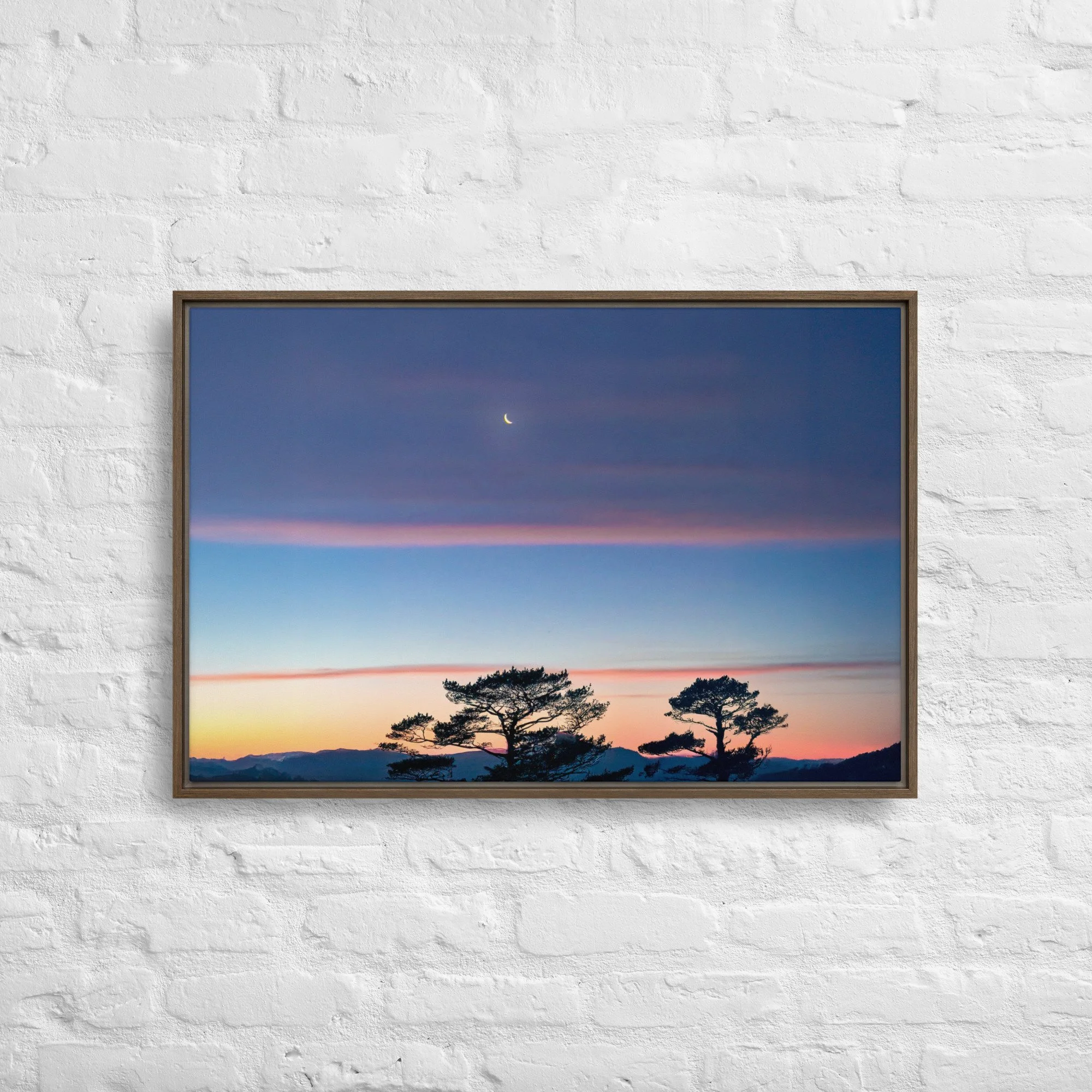 framed-canvas-(in)-brown-20x30-front-68a9dd916d722.jpg