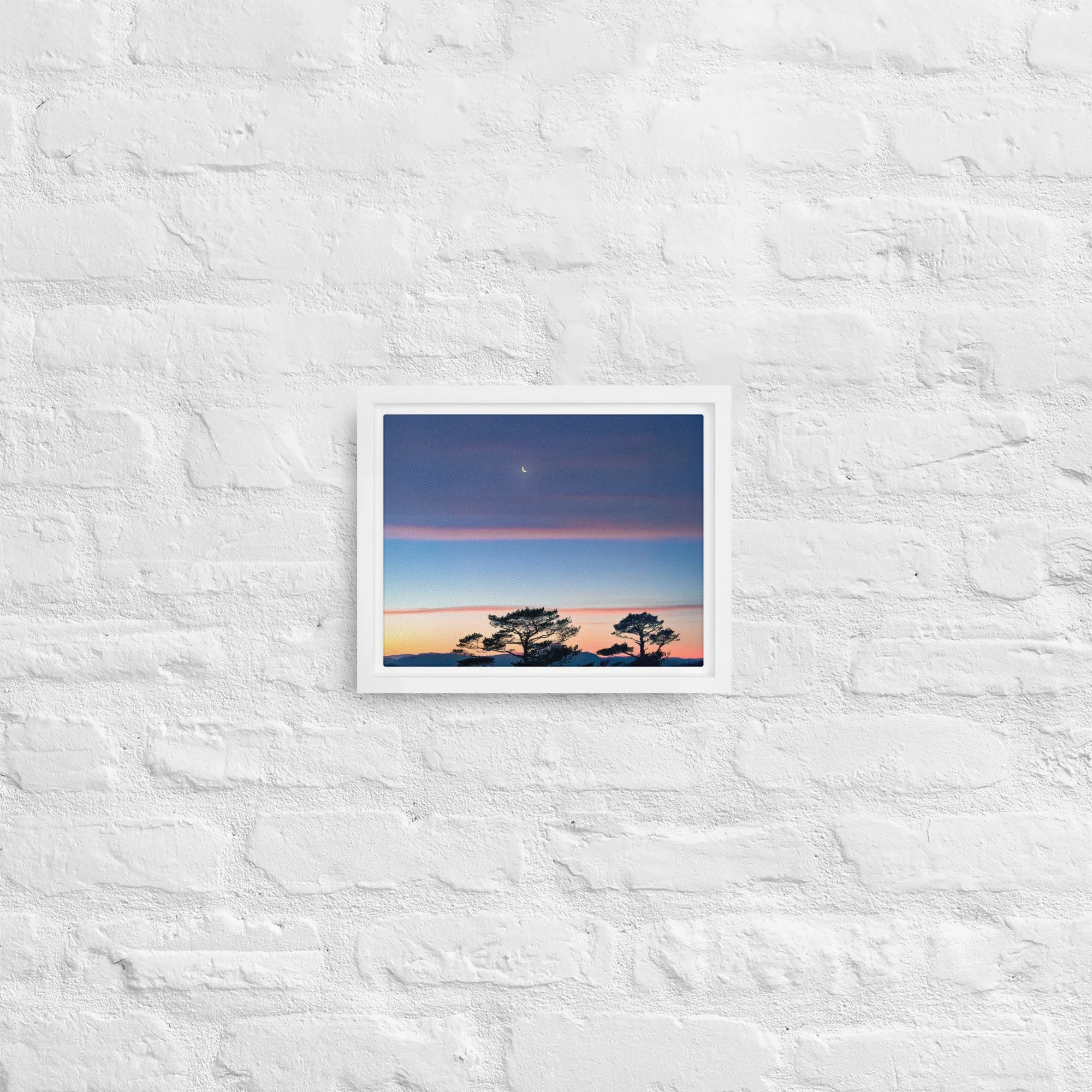 framed-canvas-(in)-white-8x10-front-68a9dd916d8f4.jpg