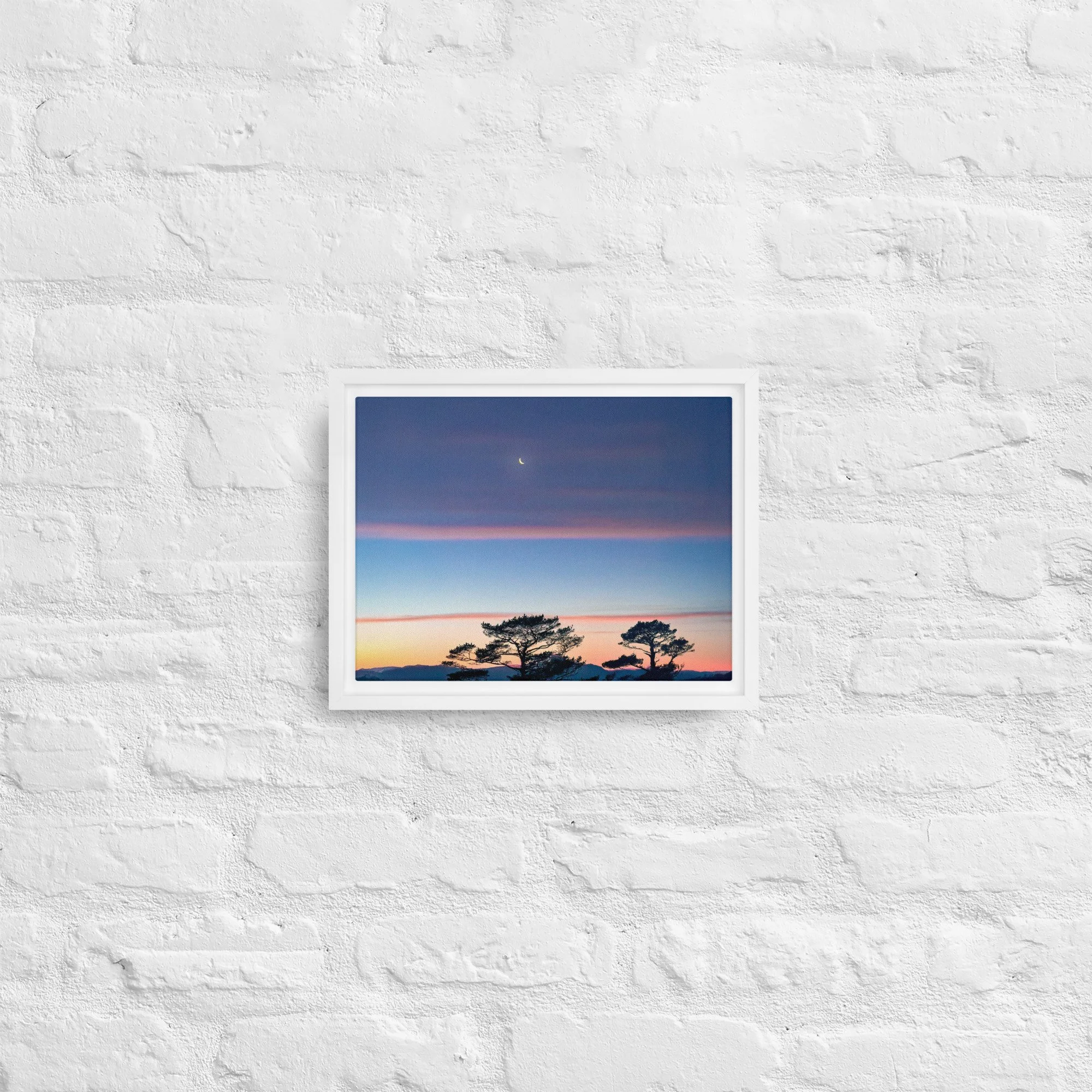 framed-canvas-(in)-white-9x12-front-68a9dd916d9a2.jpg
