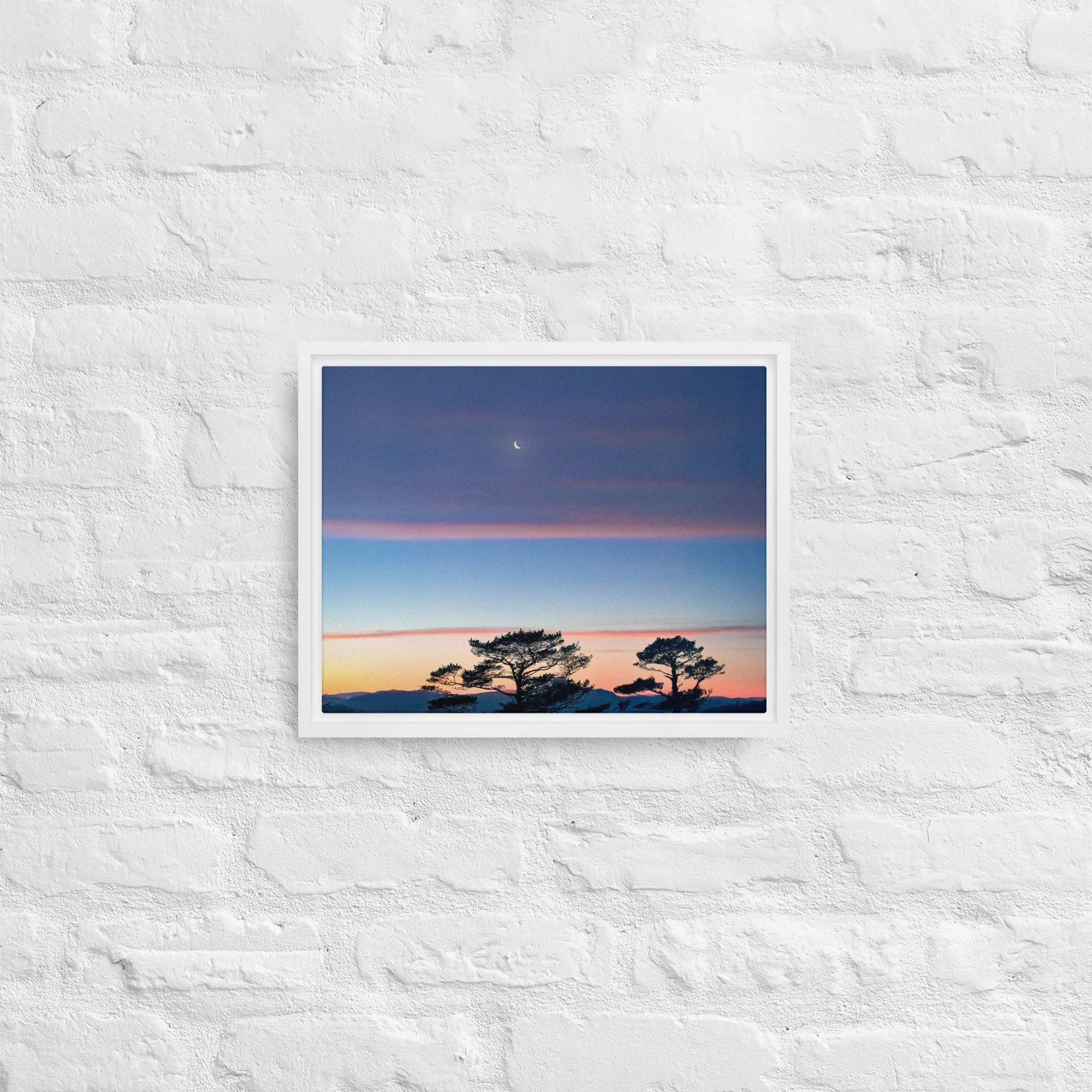 framed-canvas-(in)-white-11x14-front-68a9dd916da3a.jpg