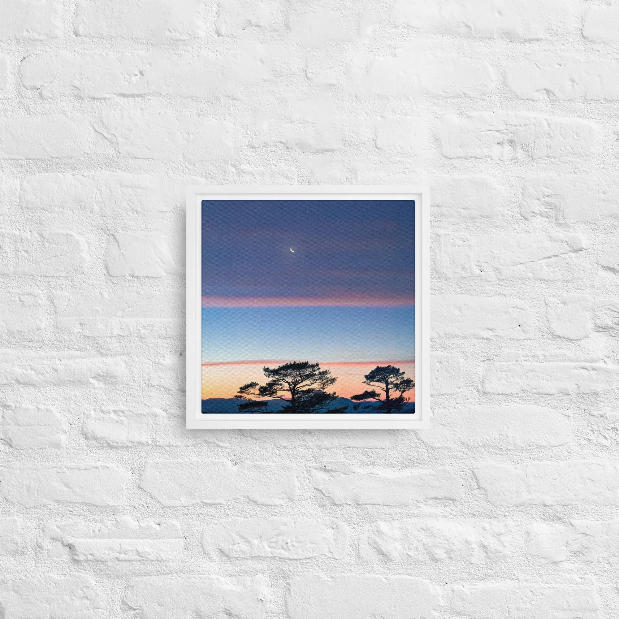 framed-canvas-(in)-white-12x12-front-68a9dd916dad9.jpg
