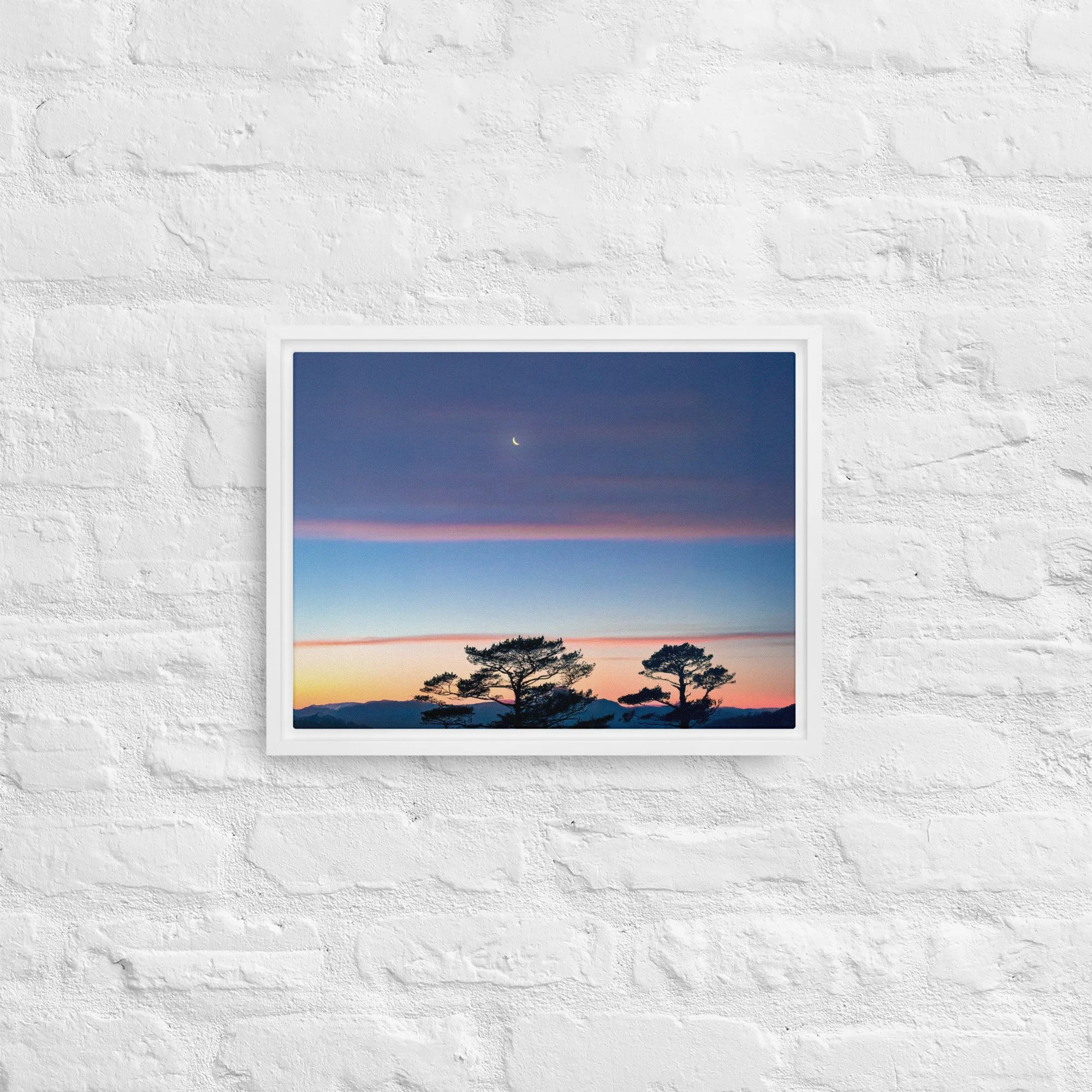 framed-canvas-(in)-white-12x16-front-68a9dd916db77.jpg