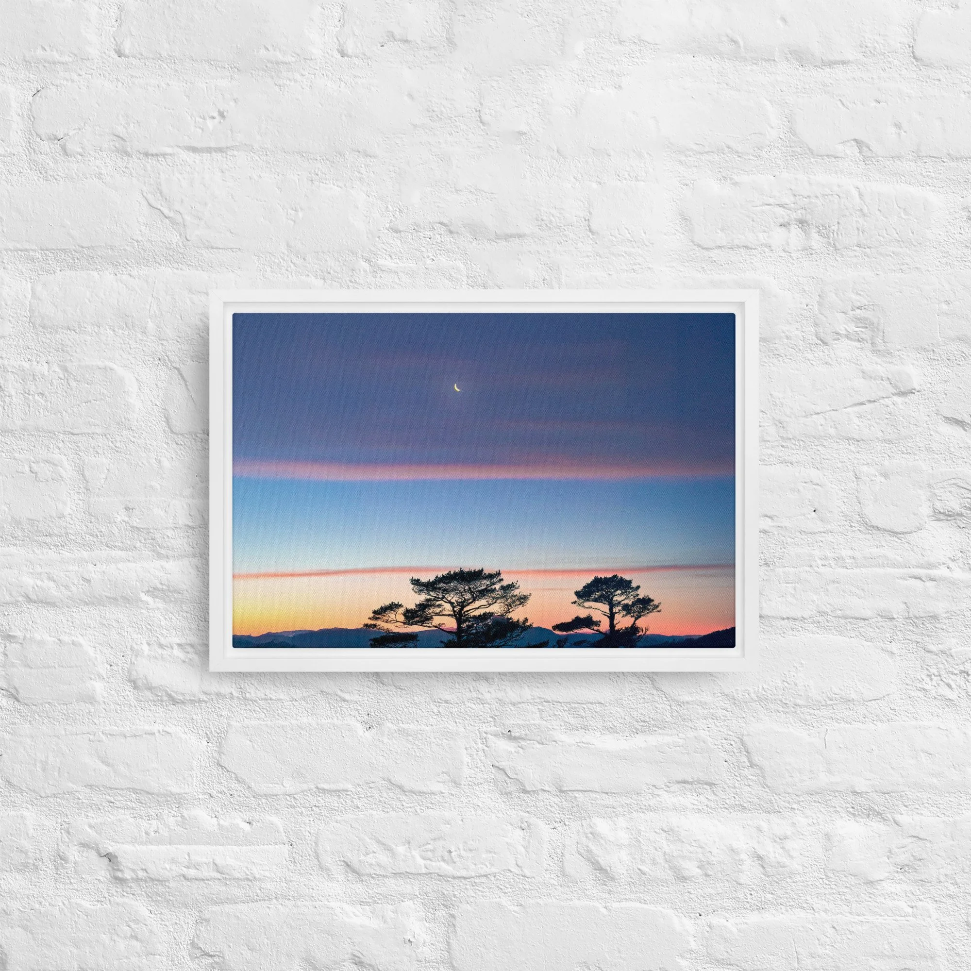 framed-canvas-(in)-white-12x18-front-68a9dd916dc0d.jpg