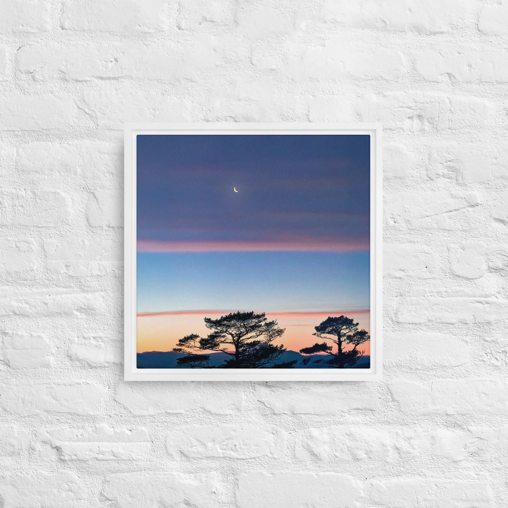 framed-canvas-(in)-white-16x16-front-68a9dd916dca7.jpg