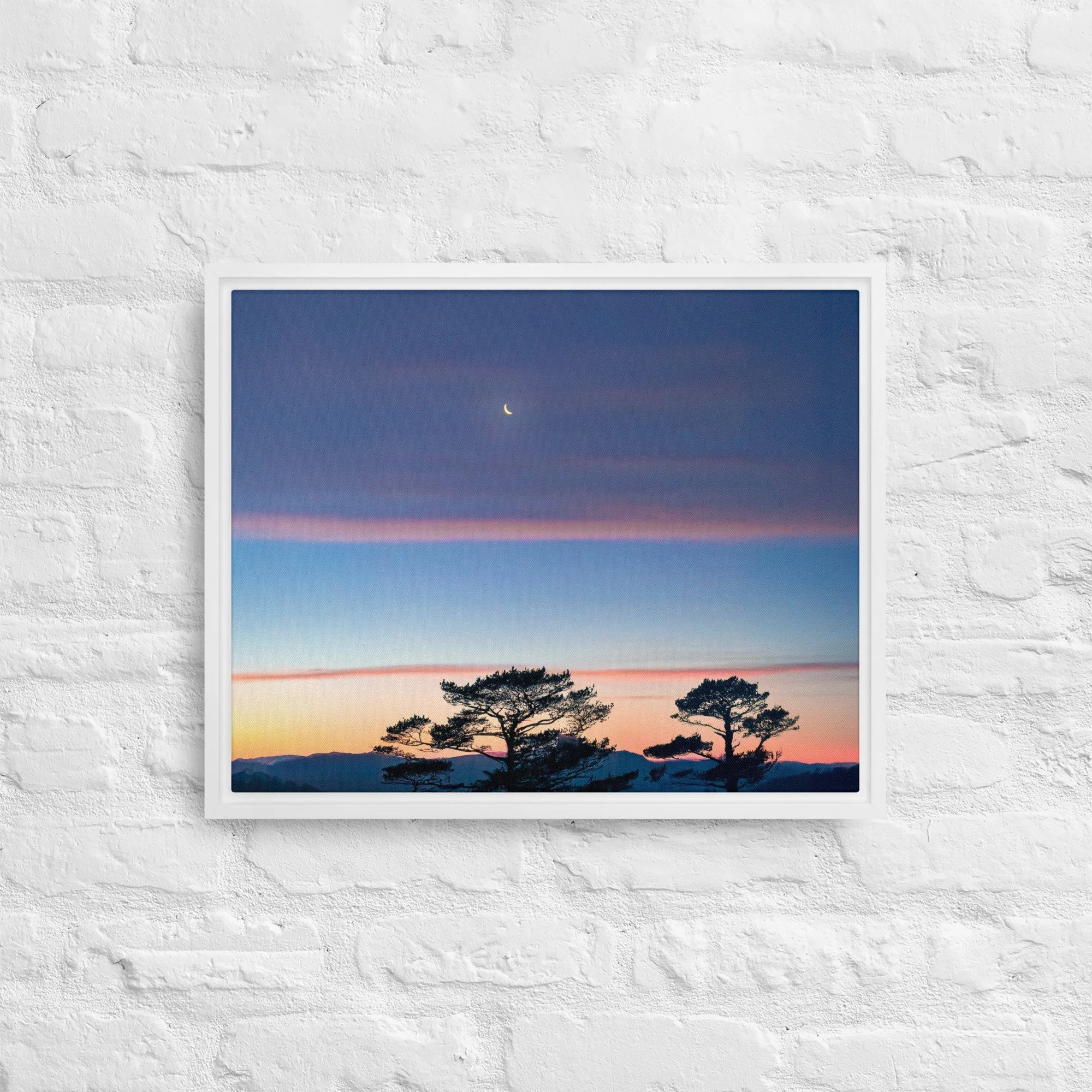 framed-canvas-(in)-white-16x20-front-68a9dd916dd45.jpg